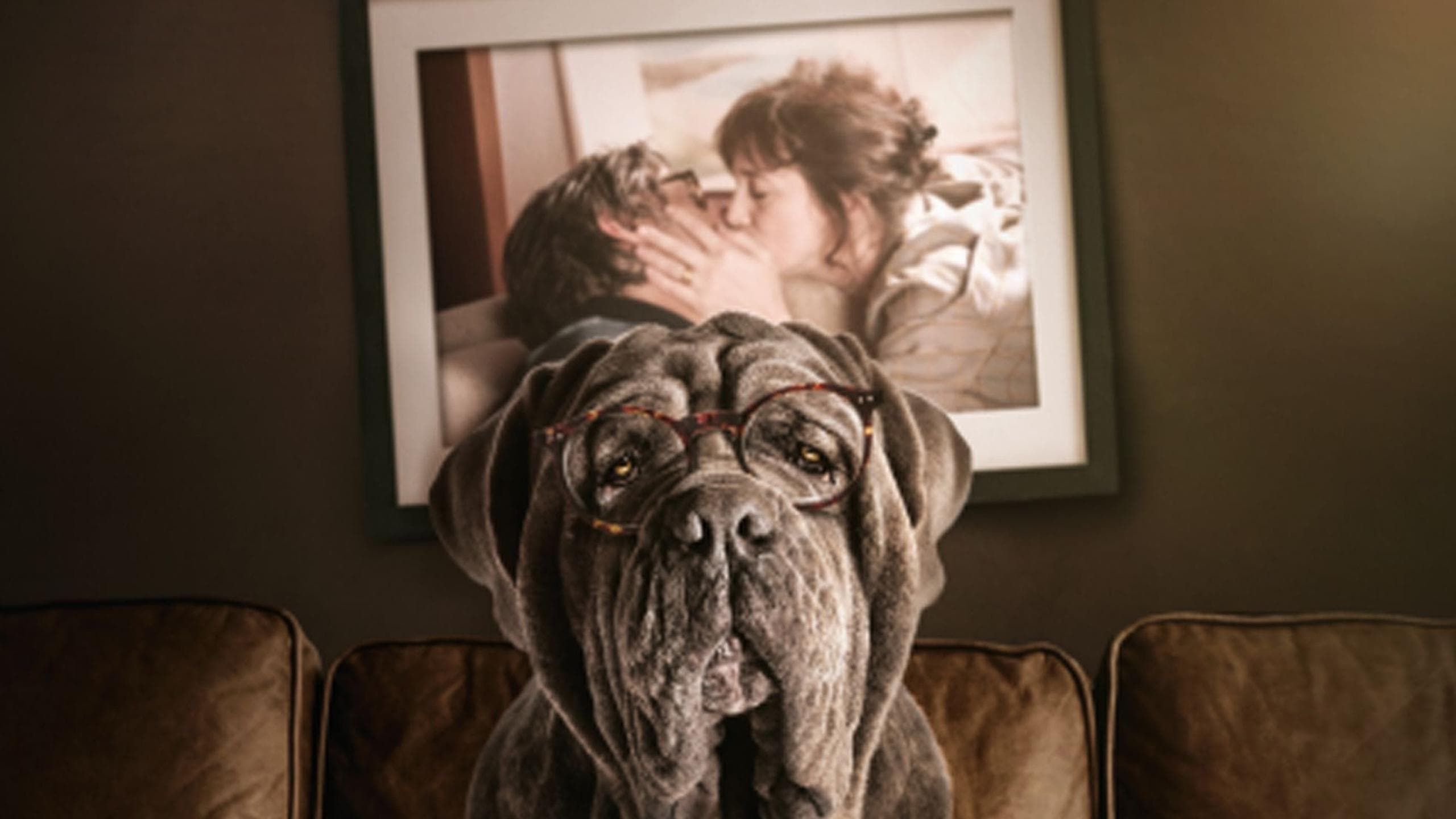 Backdrop of My Dog Stupid