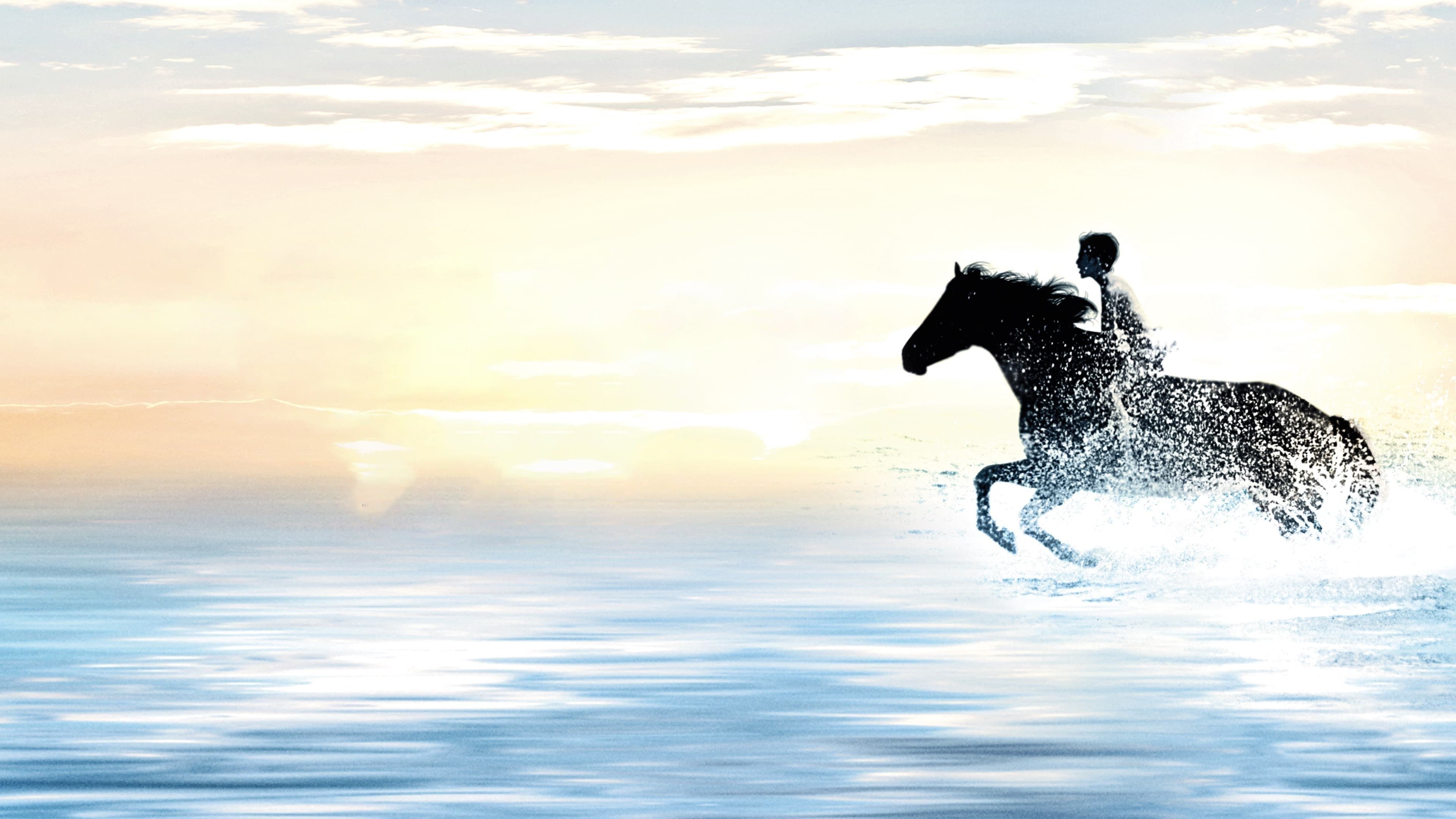 Backdrop of The Black Stallion