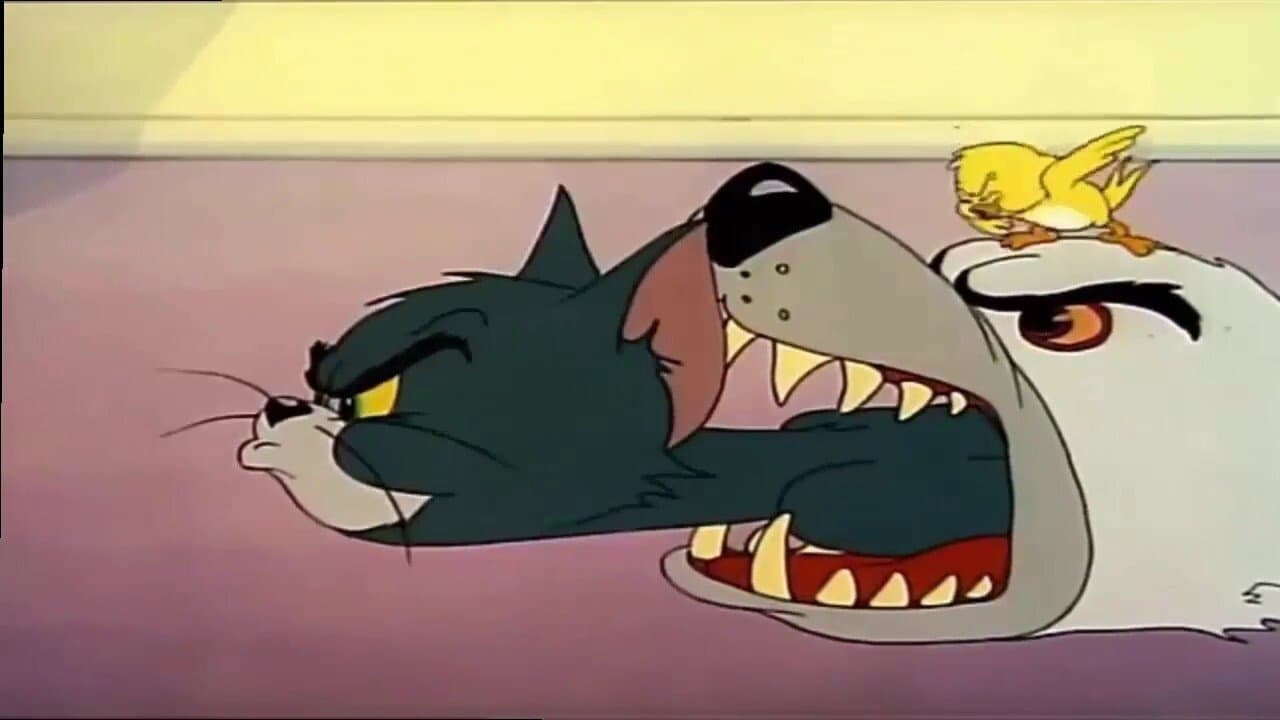 Backdrop of Kitty Foiled