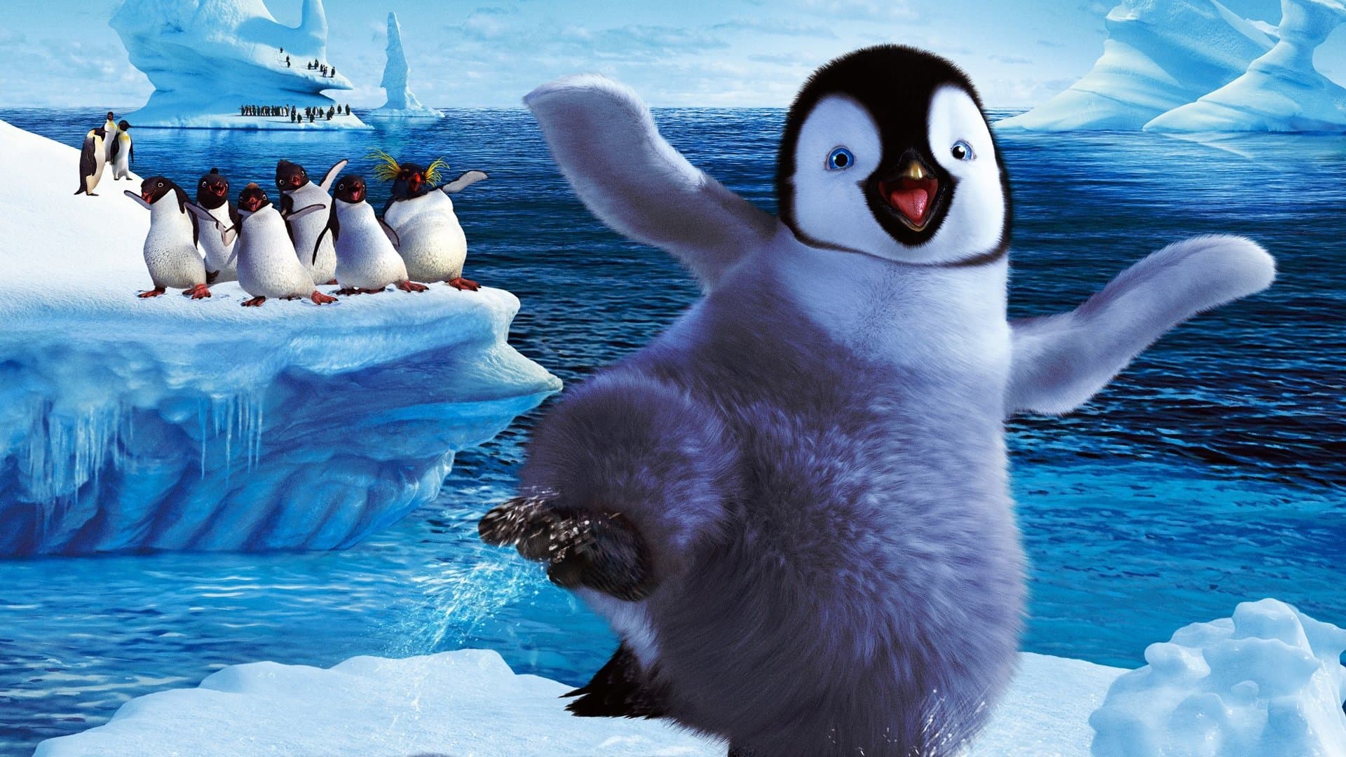 Backdrop of Happy Feet Collection