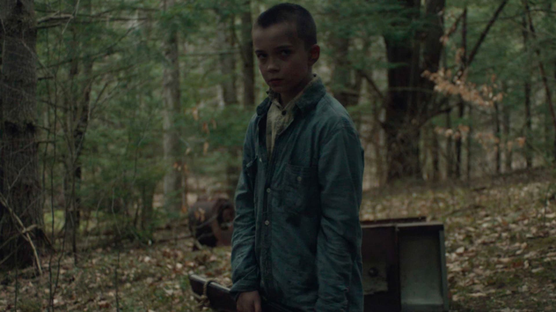 Backdrop of Brothers