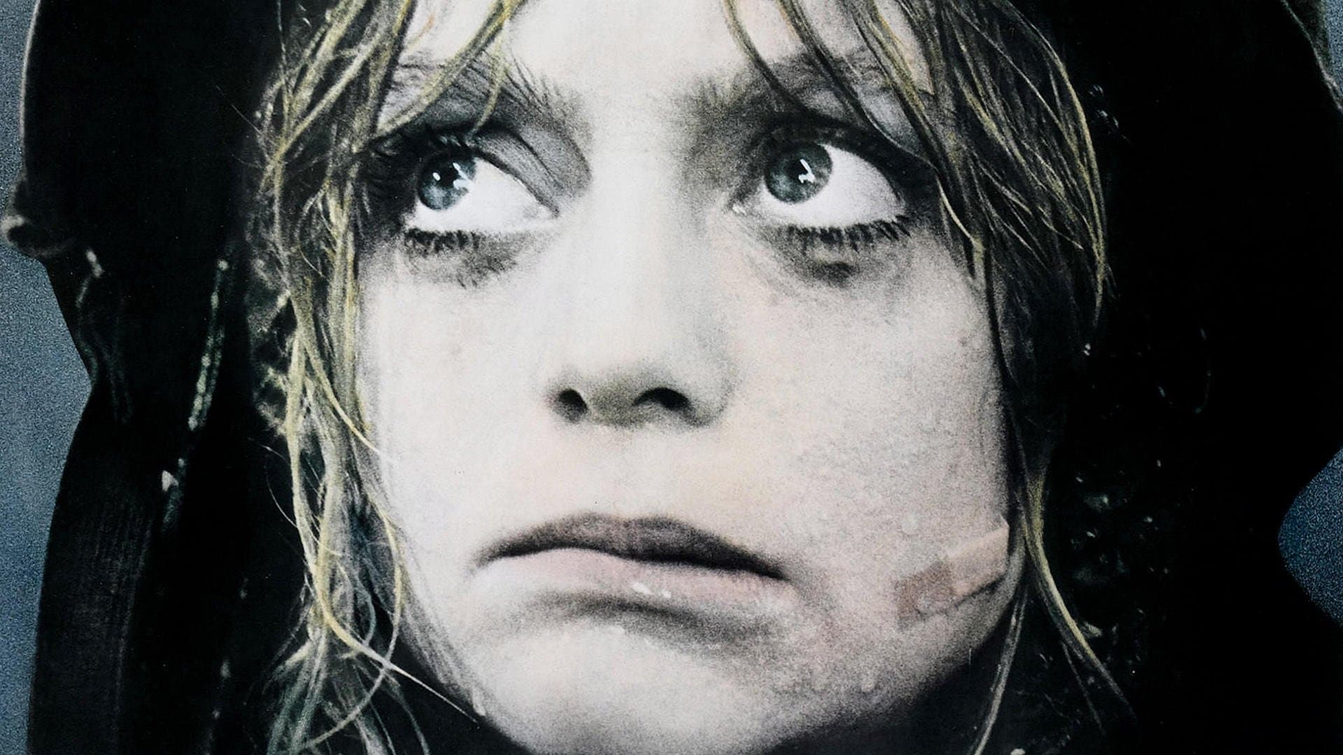 Backdrop of Private Benjamin
