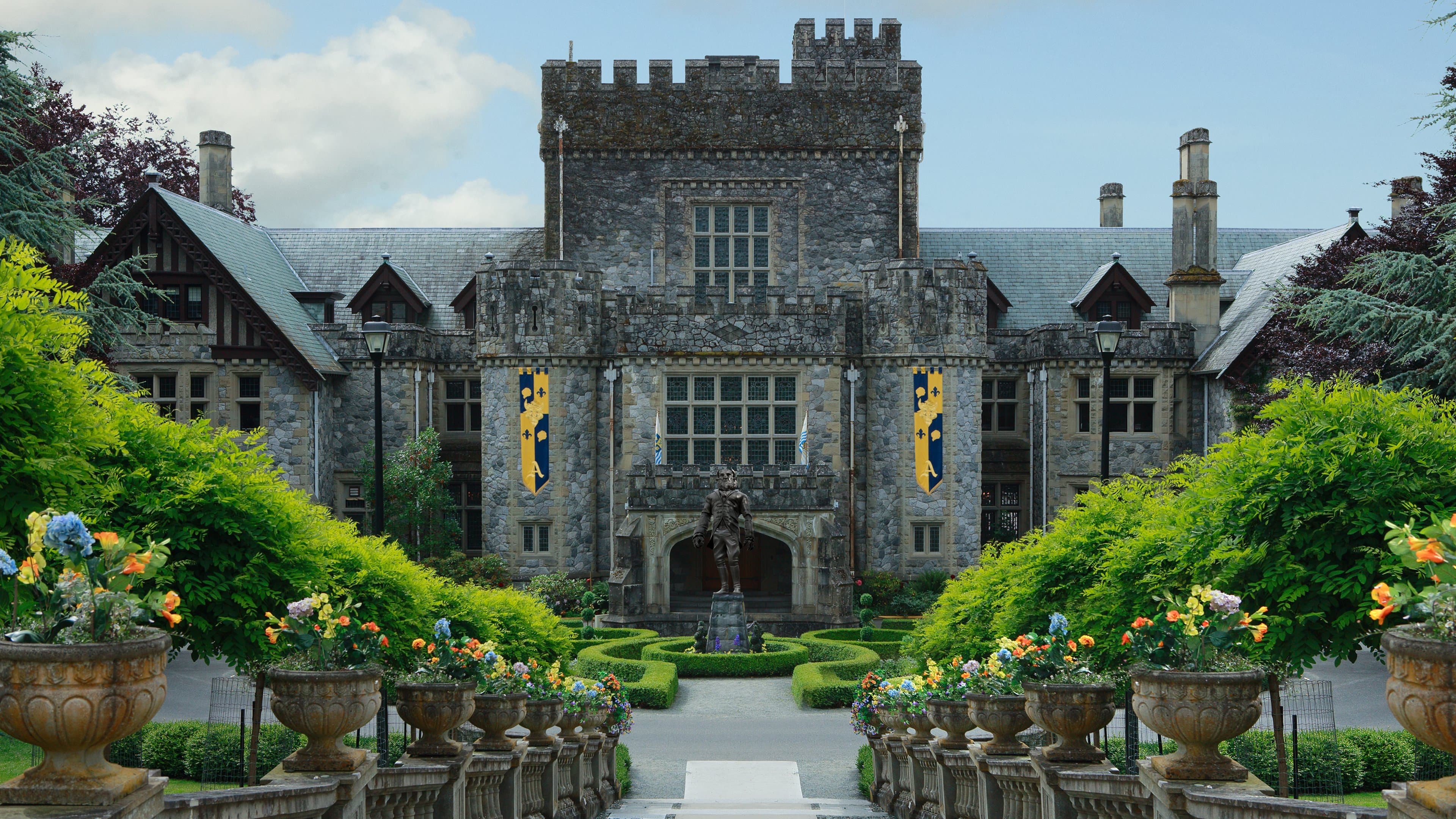 Backdrop of Descendants Collection
