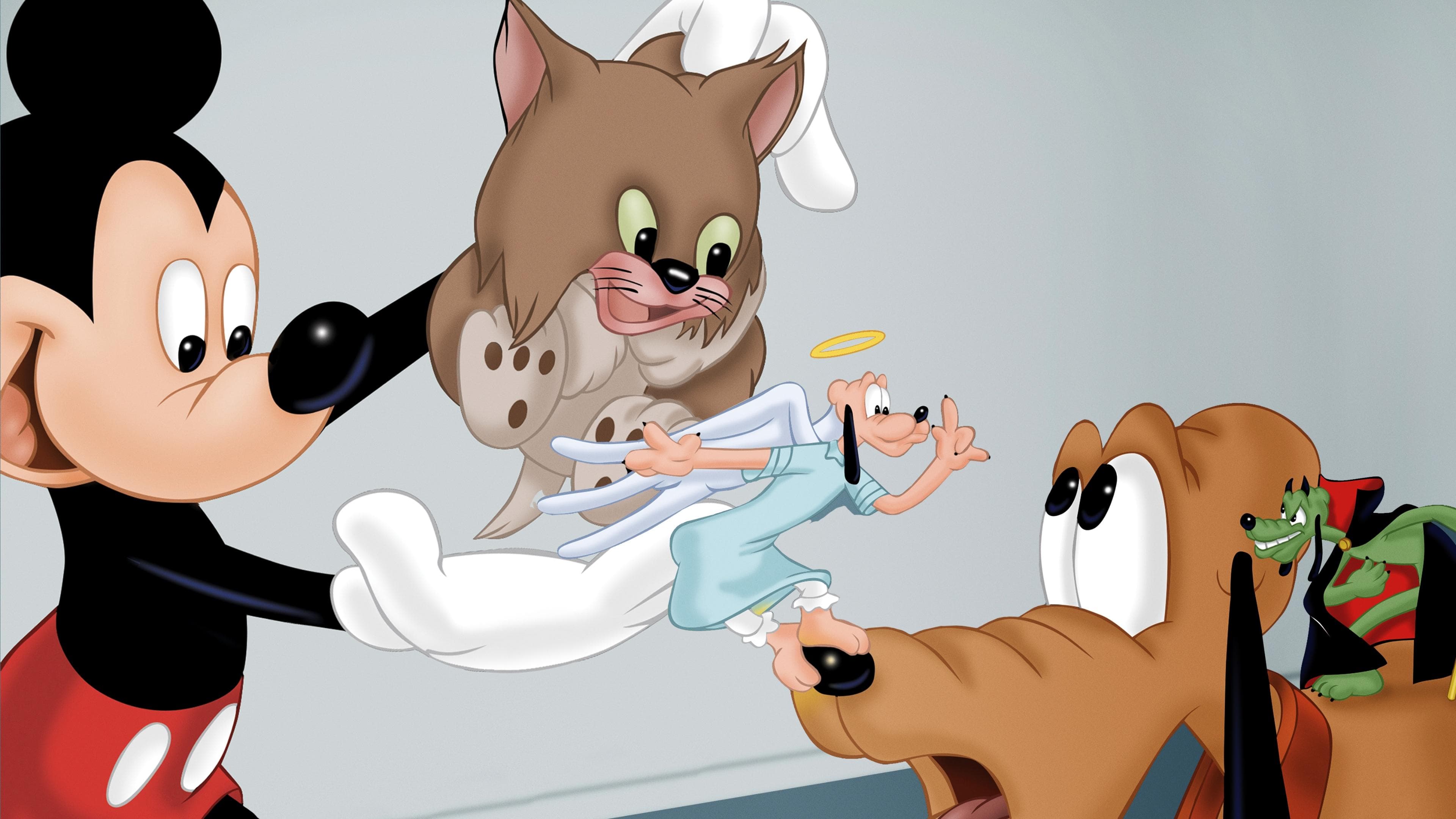 Backdrop of Lend a Paw