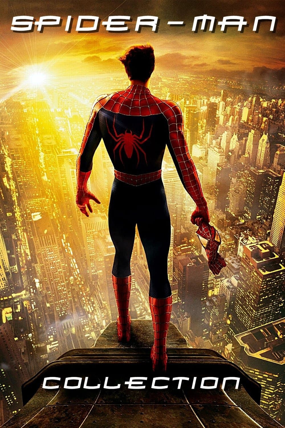 Poster of Spider-Man Collection