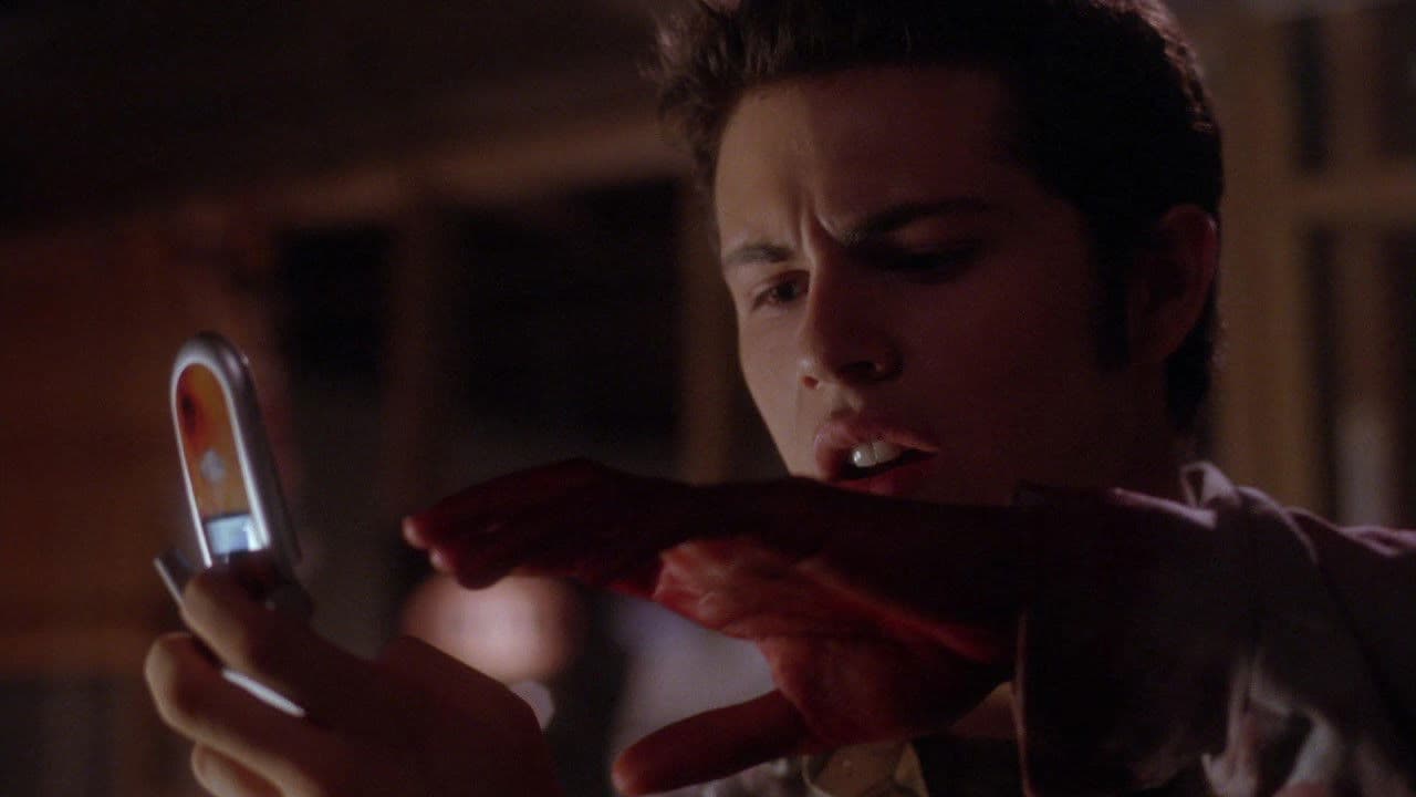 Backdrop of The V Word