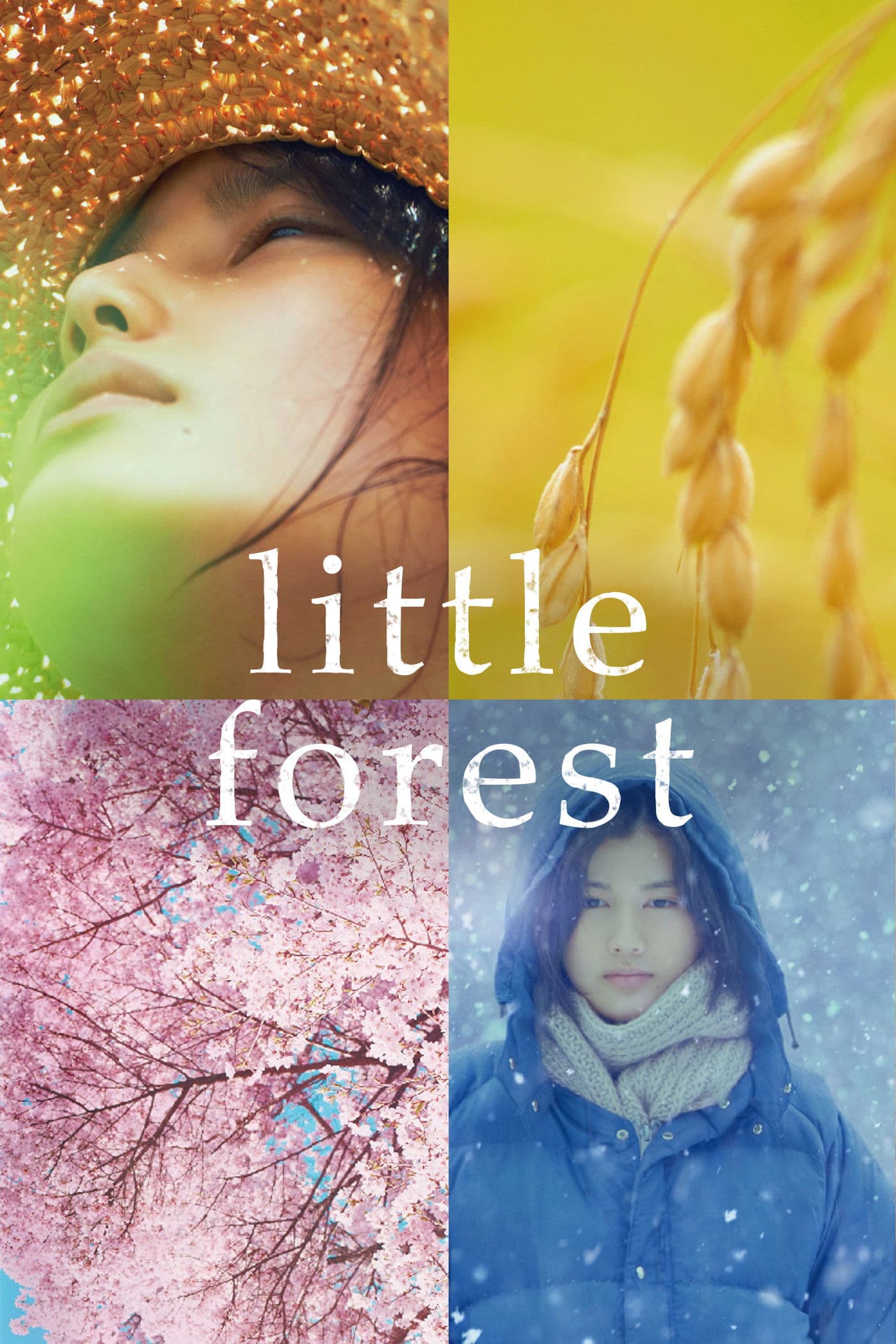 Poster of Little Forest Collection