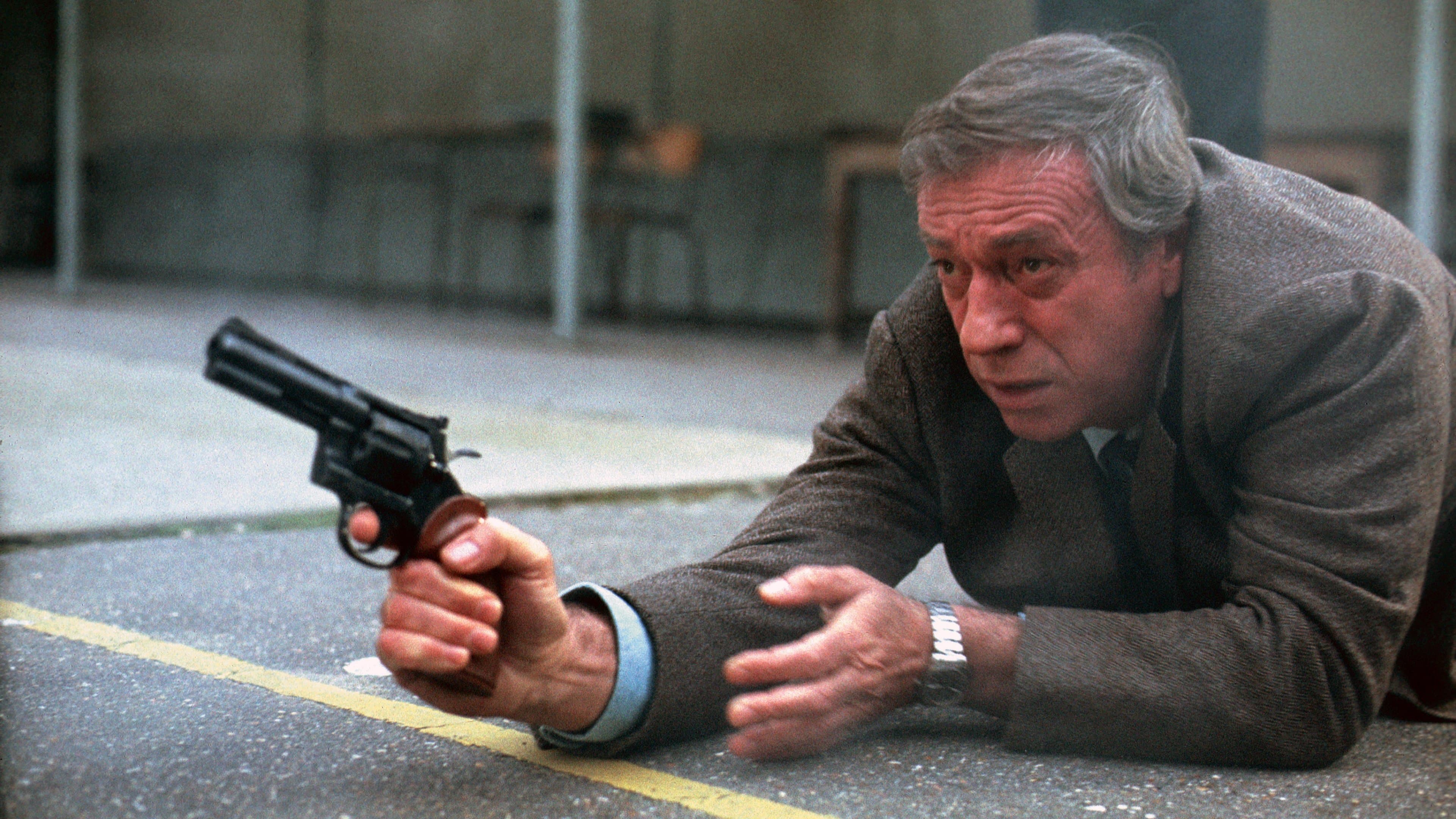 Backdrop of Police Python 357