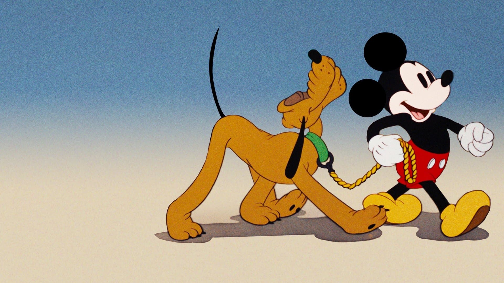 Backdrop of Society Dog Show