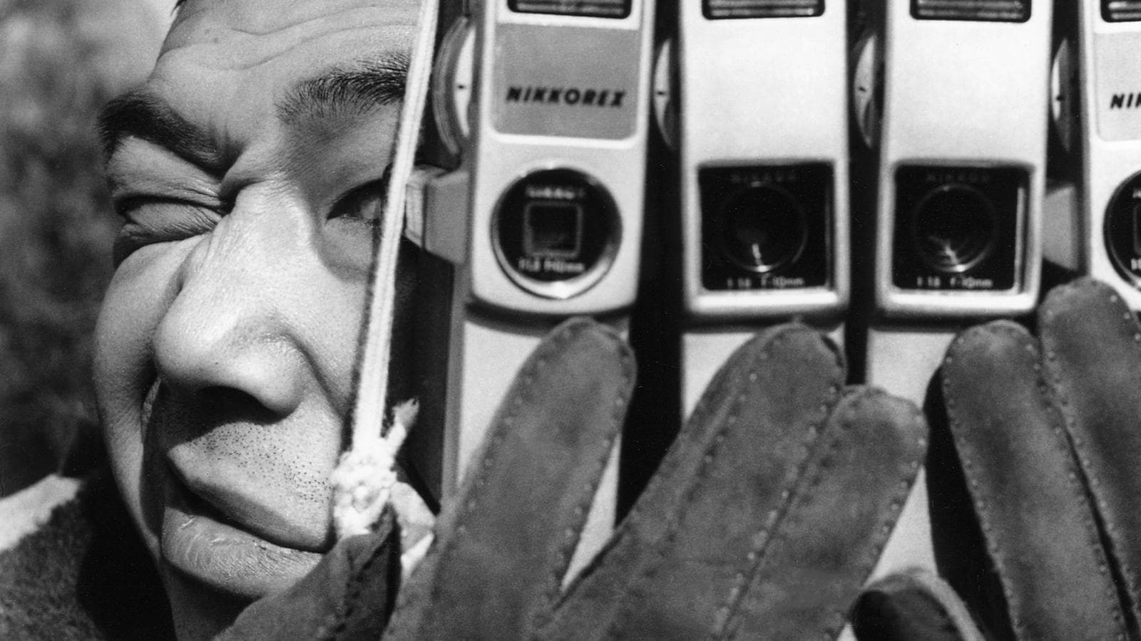 Backdrop of The Pornographers