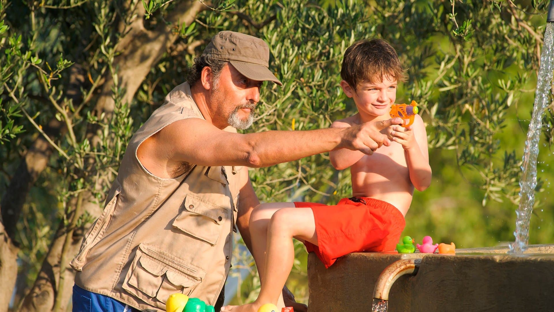 Backdrop of My Summer in Provence