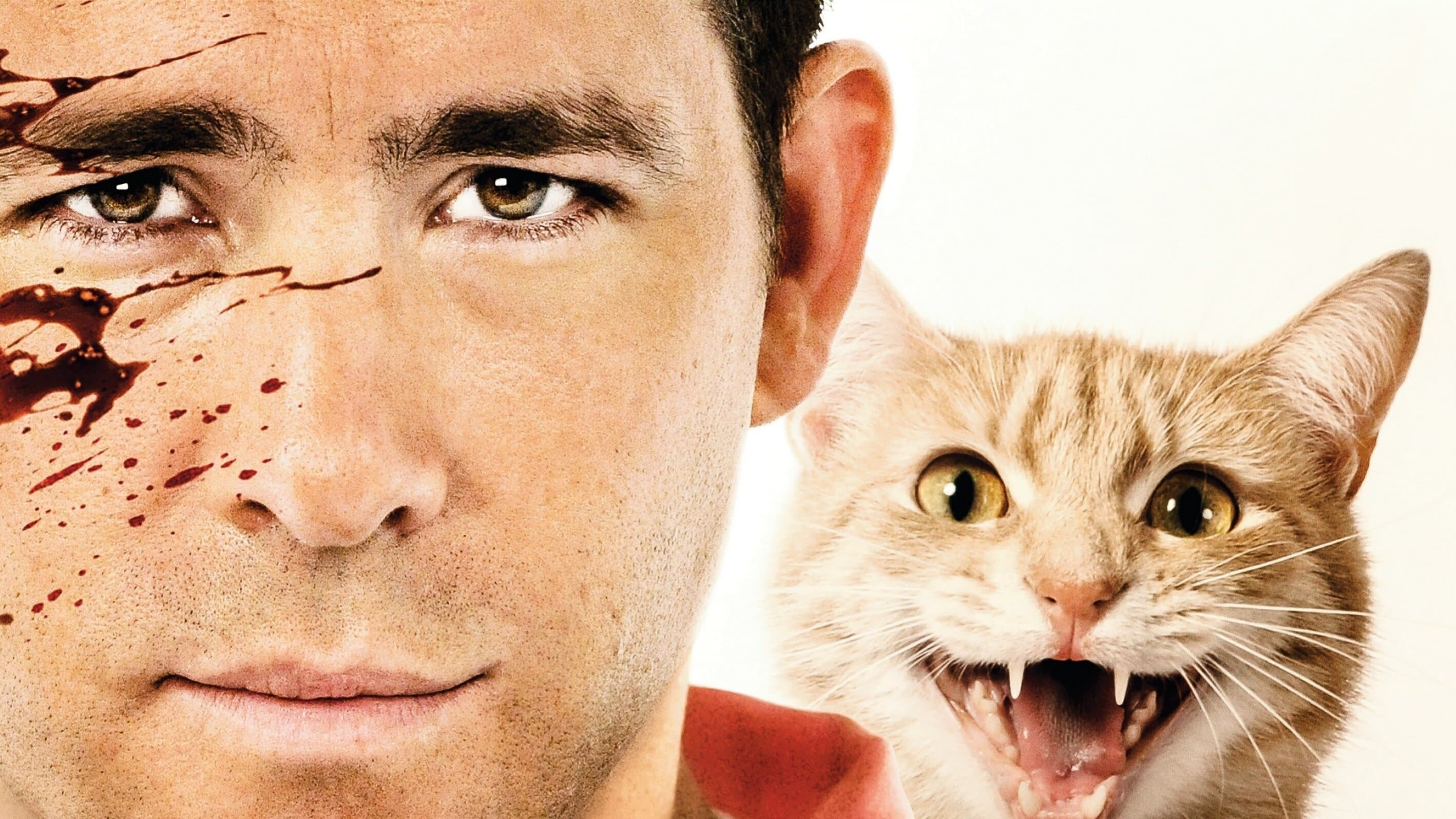 Backdrop of The Voices