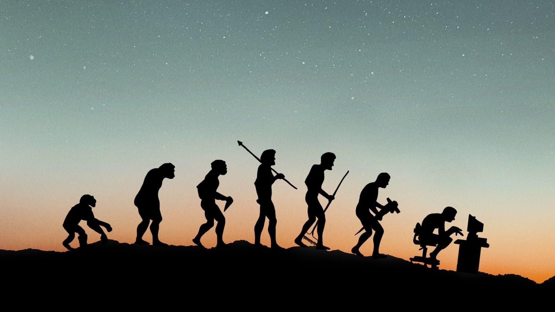 Backdrop of Lo and Behold: Reveries of the Connected World