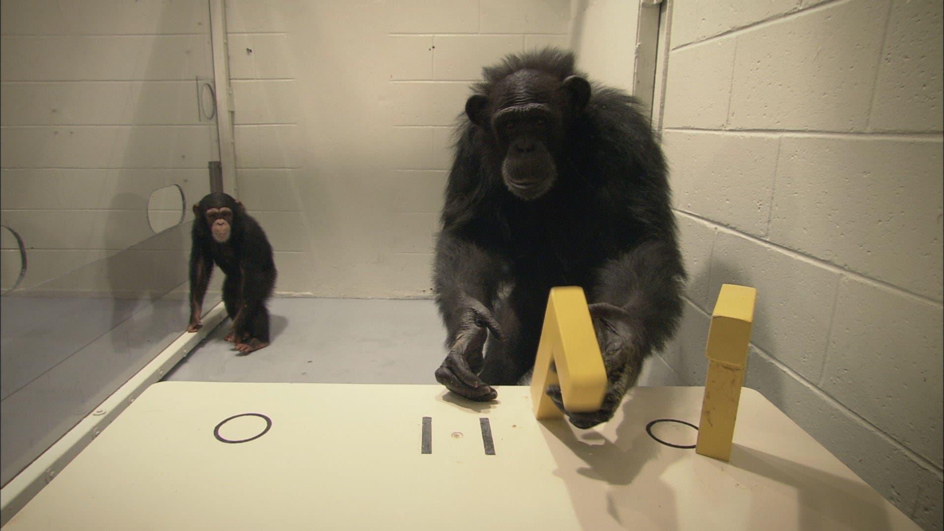 Backdrop of Surviving Progress