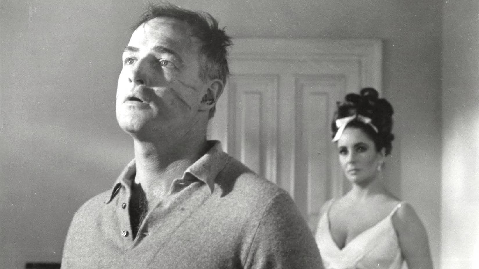 Backdrop of Reflections in a Golden Eye