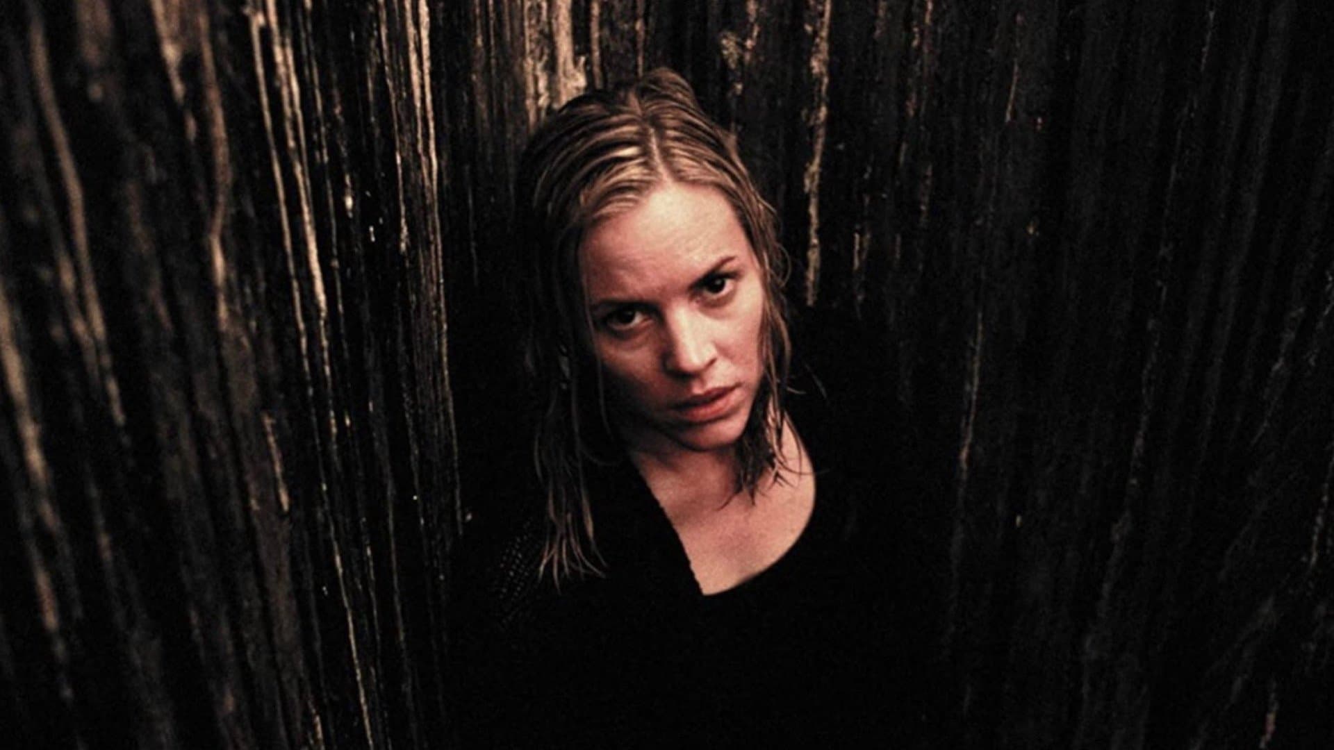 Backdrop of The Dark