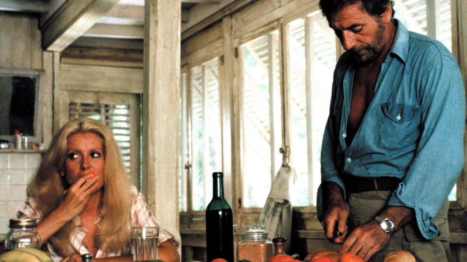 Backdrop of Lovers Like Us