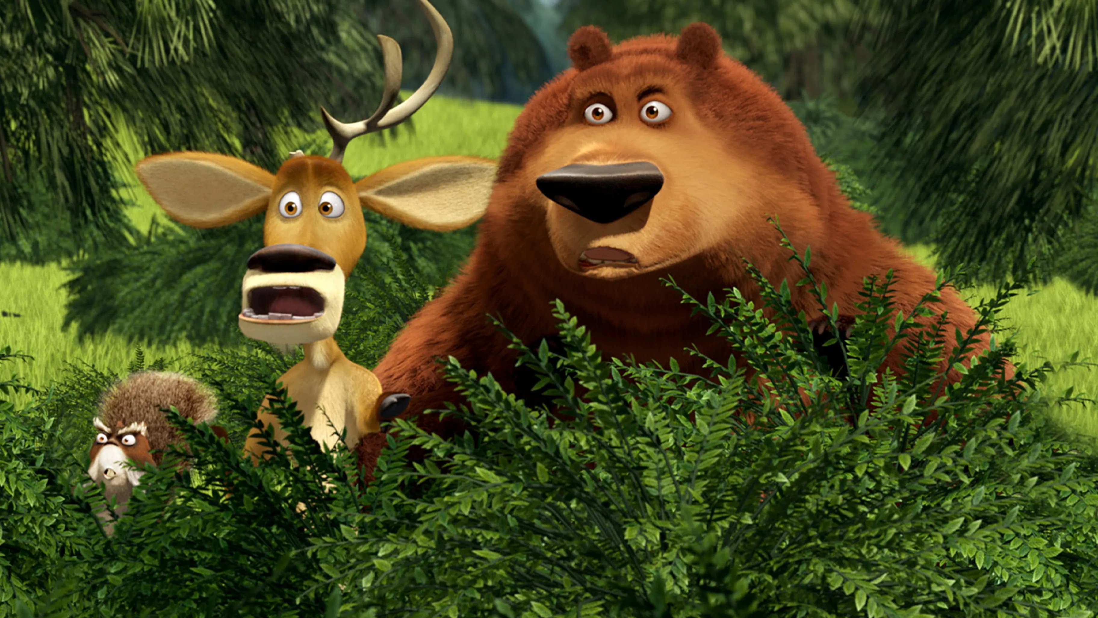 Backdrop of Open Season 2