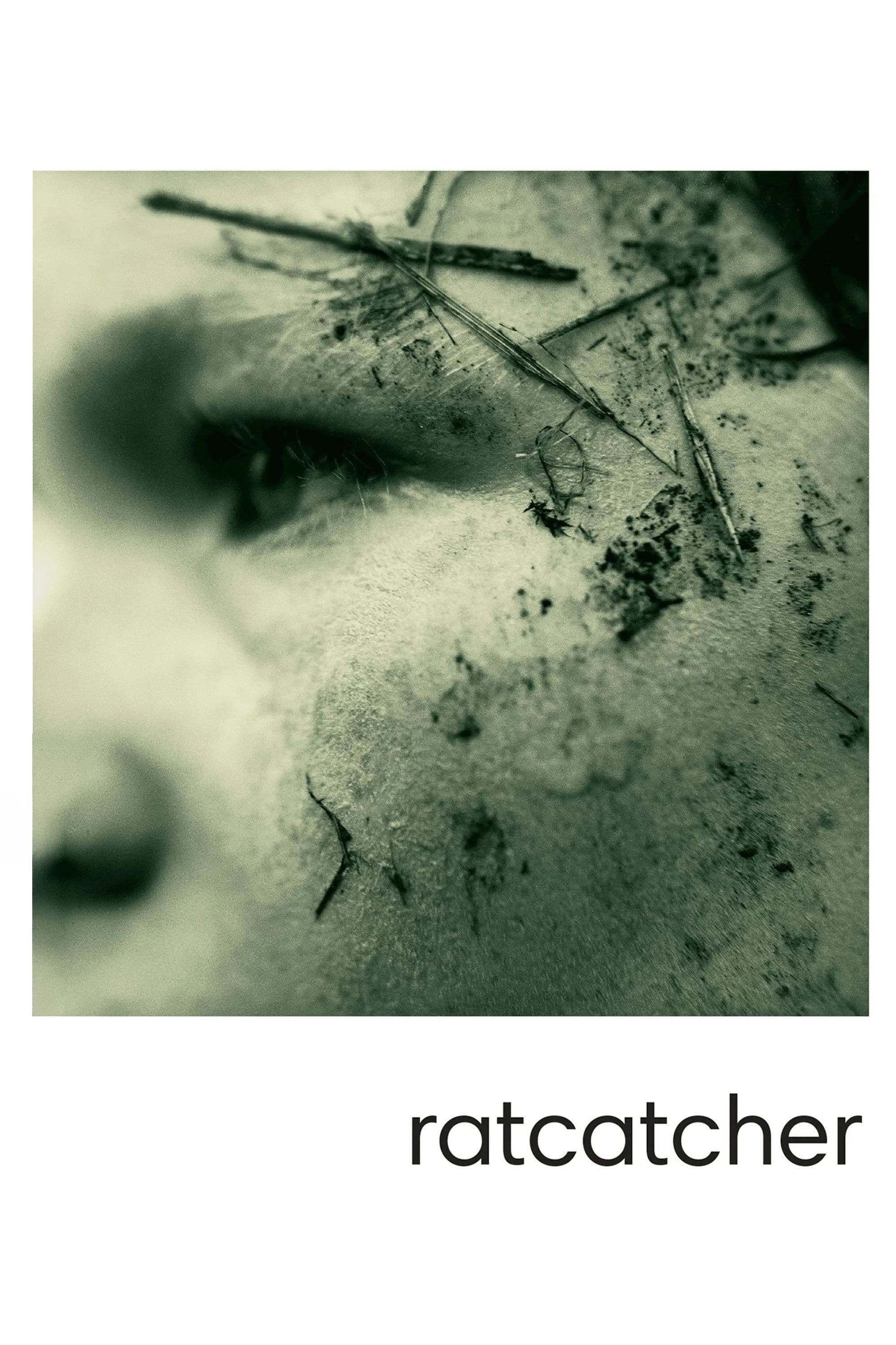 Poster of Ratcatcher