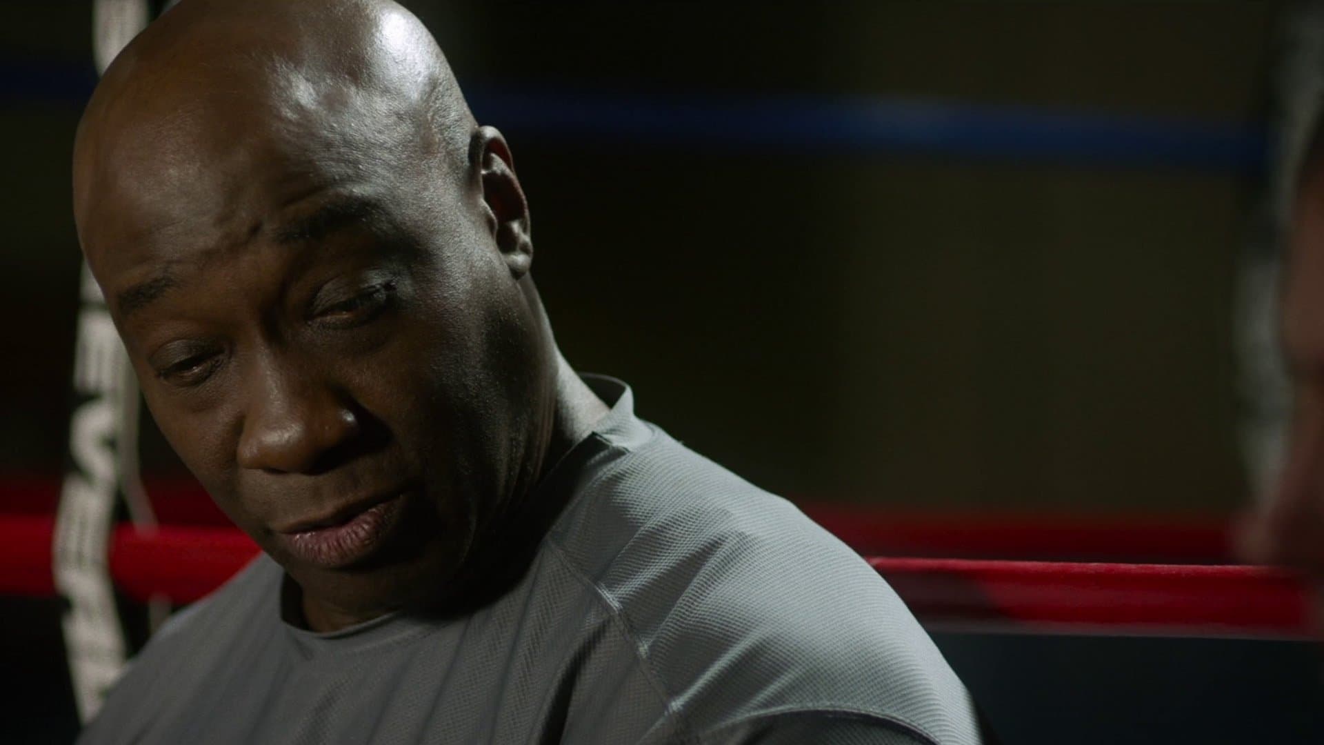 Backdrop of The Challenger