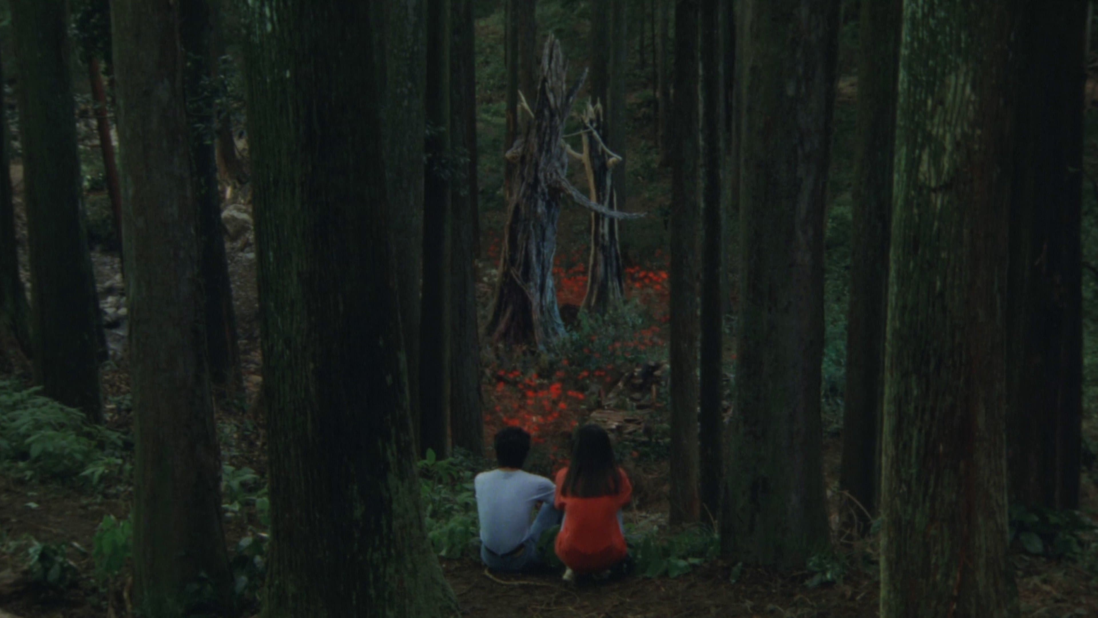 Backdrop of Rhapsody in August