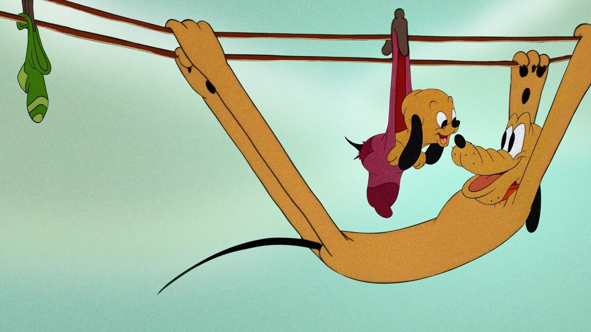 Backdrop of Pluto Junior