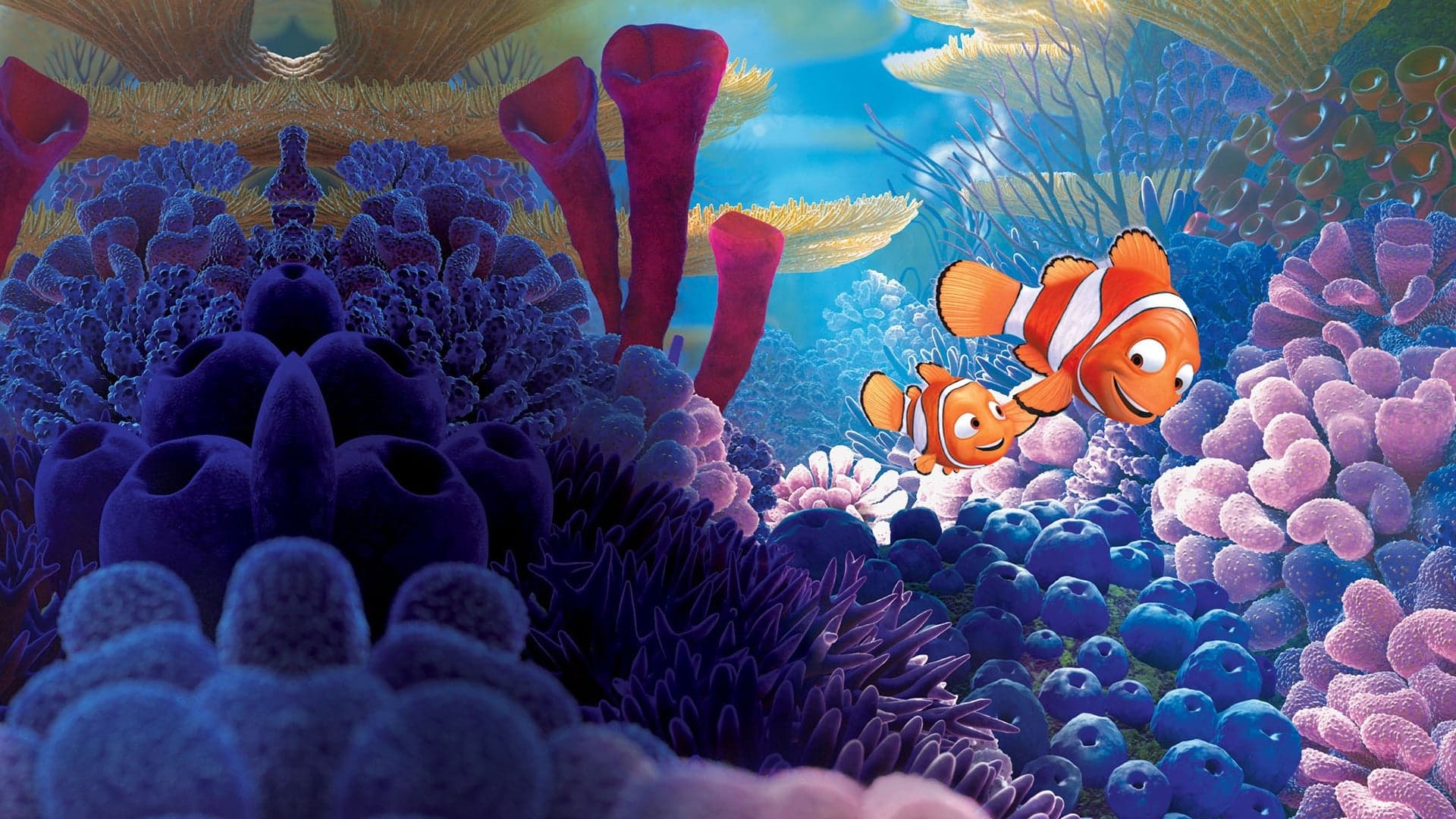 Backdrop of Finding Nemo