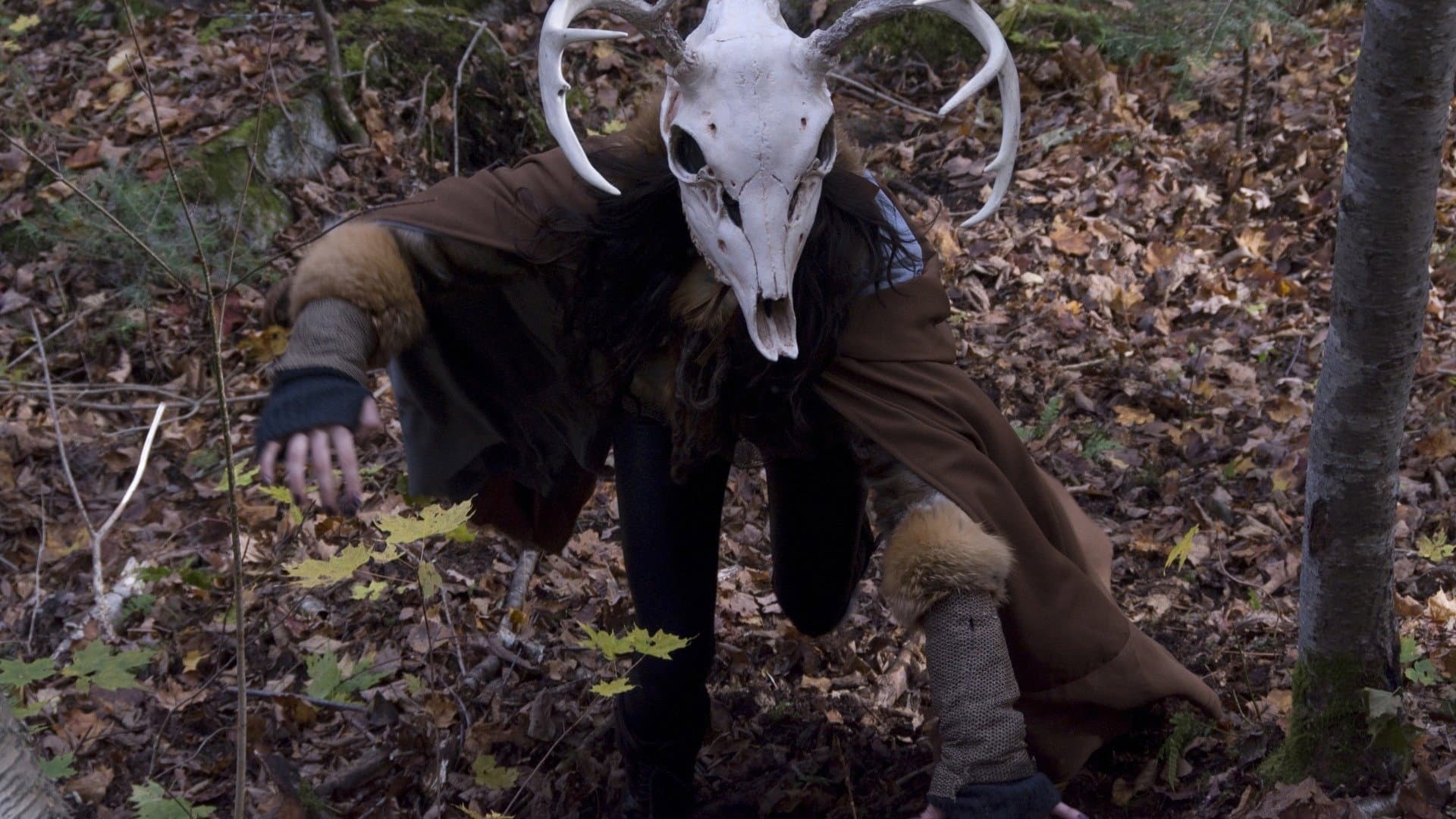 Backdrop of The Wild Hunt