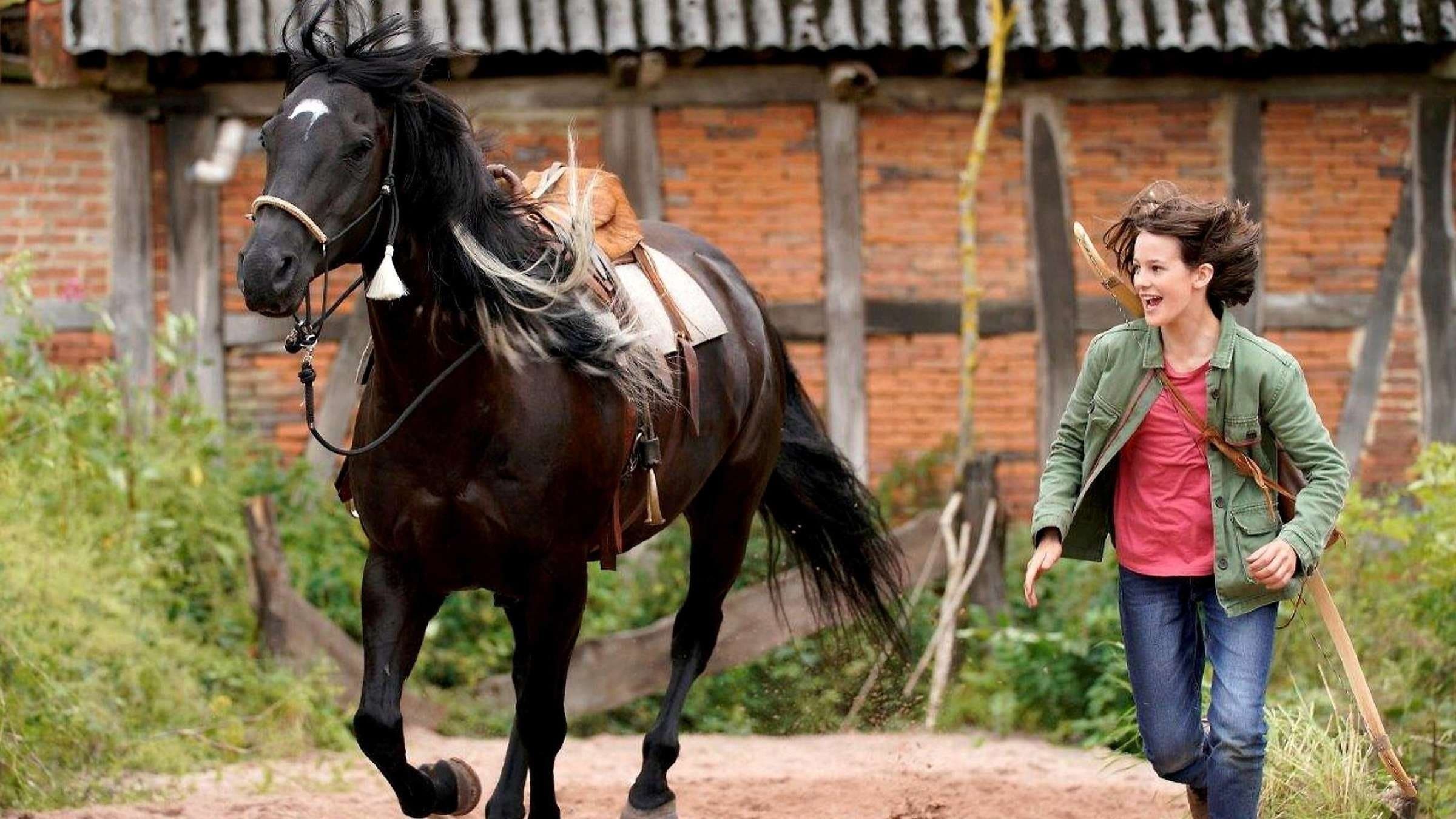 Backdrop of Windstorm: The Great Hurricane