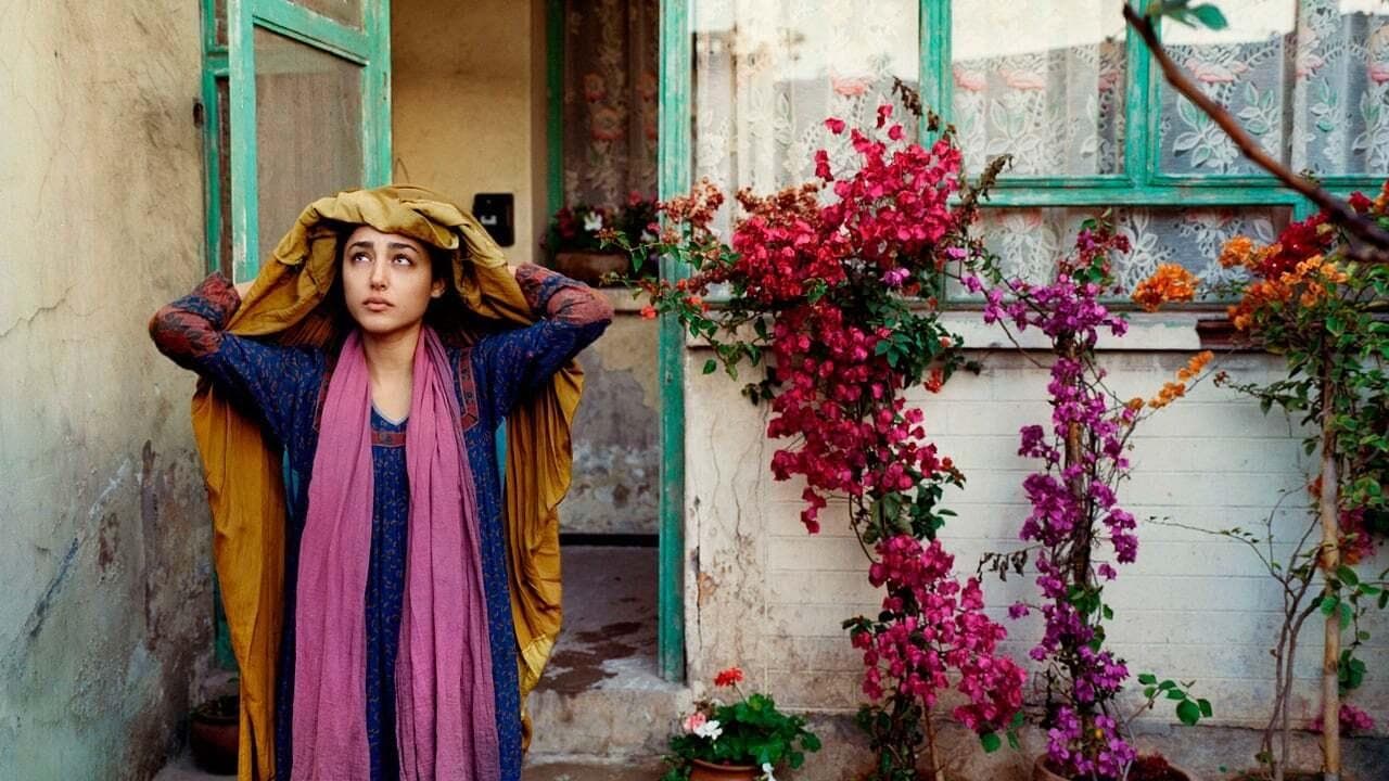 Backdrop of The Patience Stone