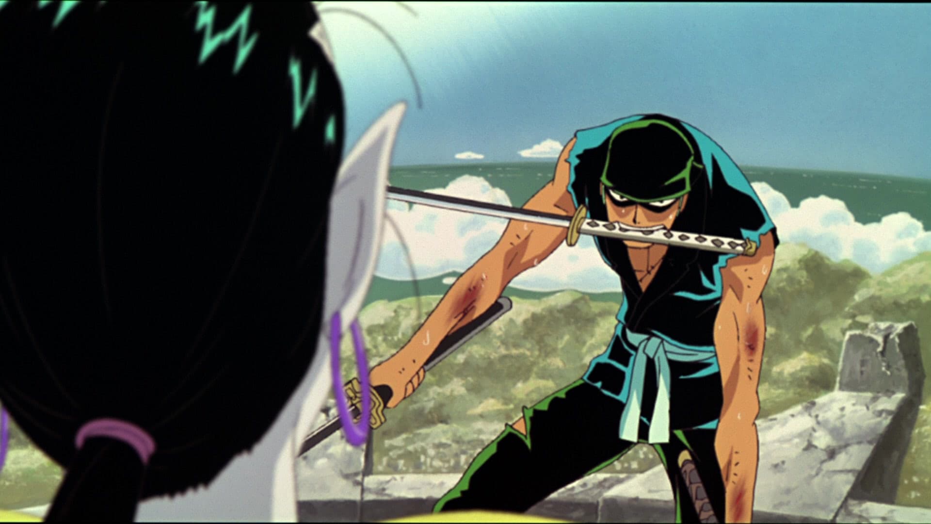 Backdrop of One Piece: Clockwork Island Adventure