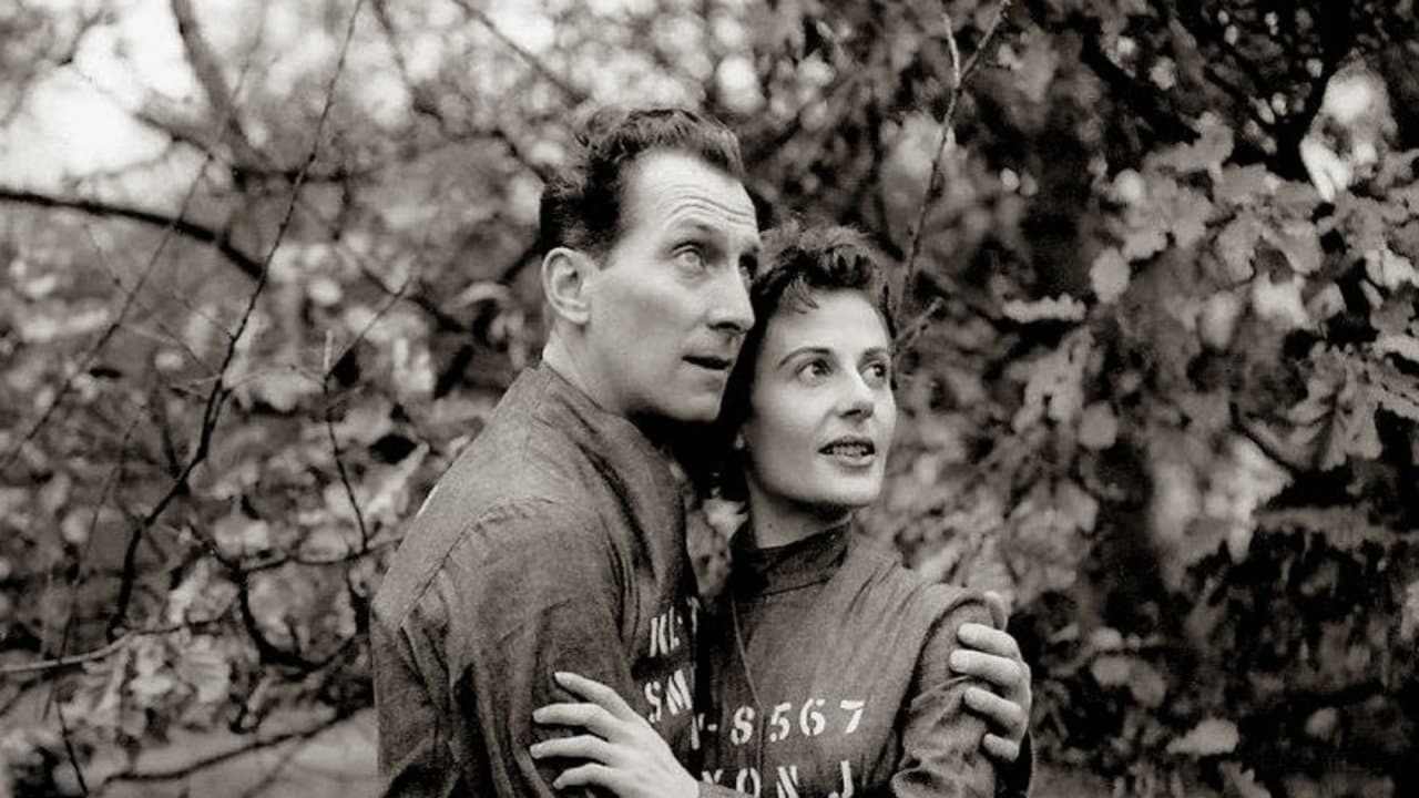 Backdrop of Nineteen Eighty-Four