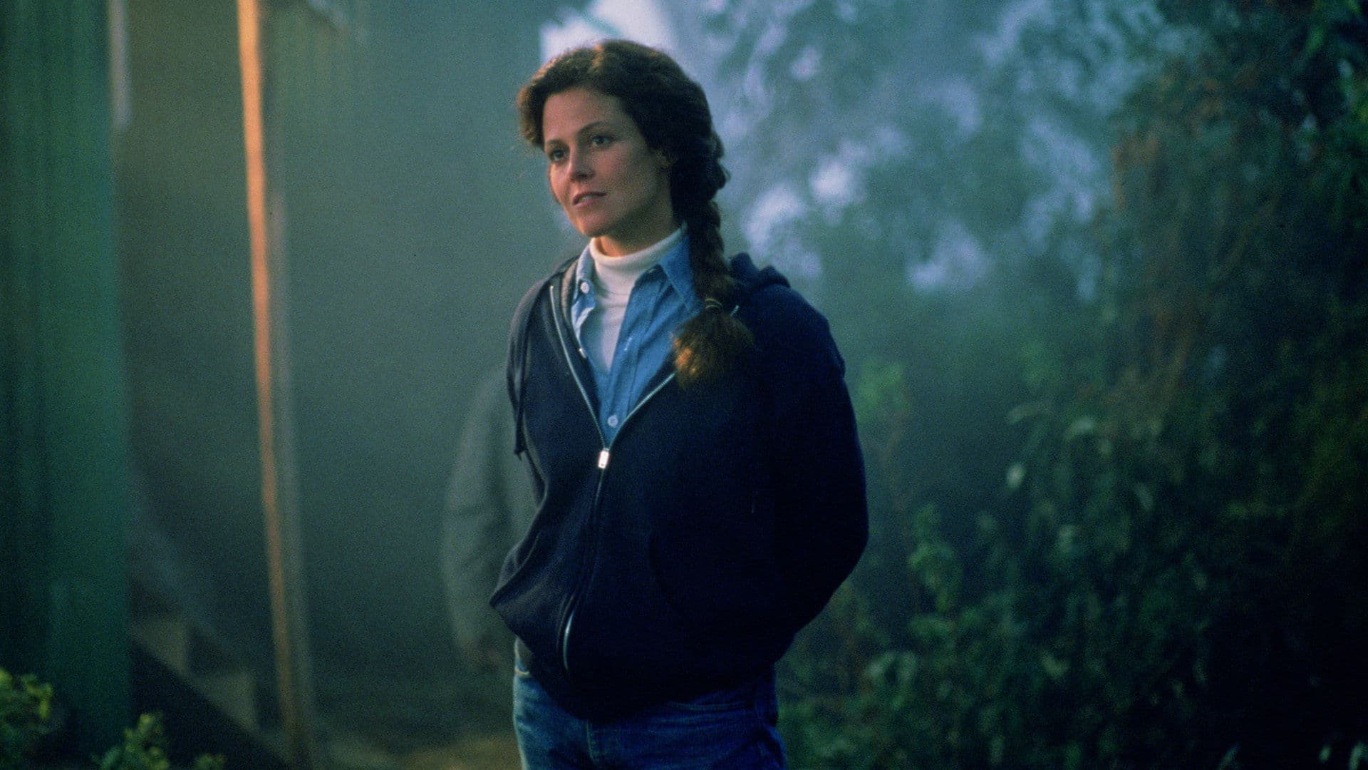 Backdrop of Gorillas in the Mist