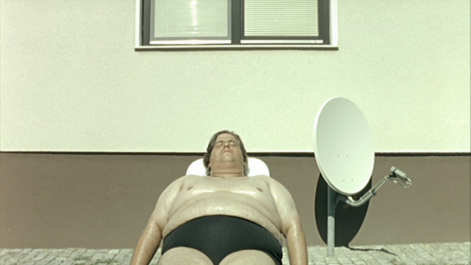 Backdrop of Dog Days