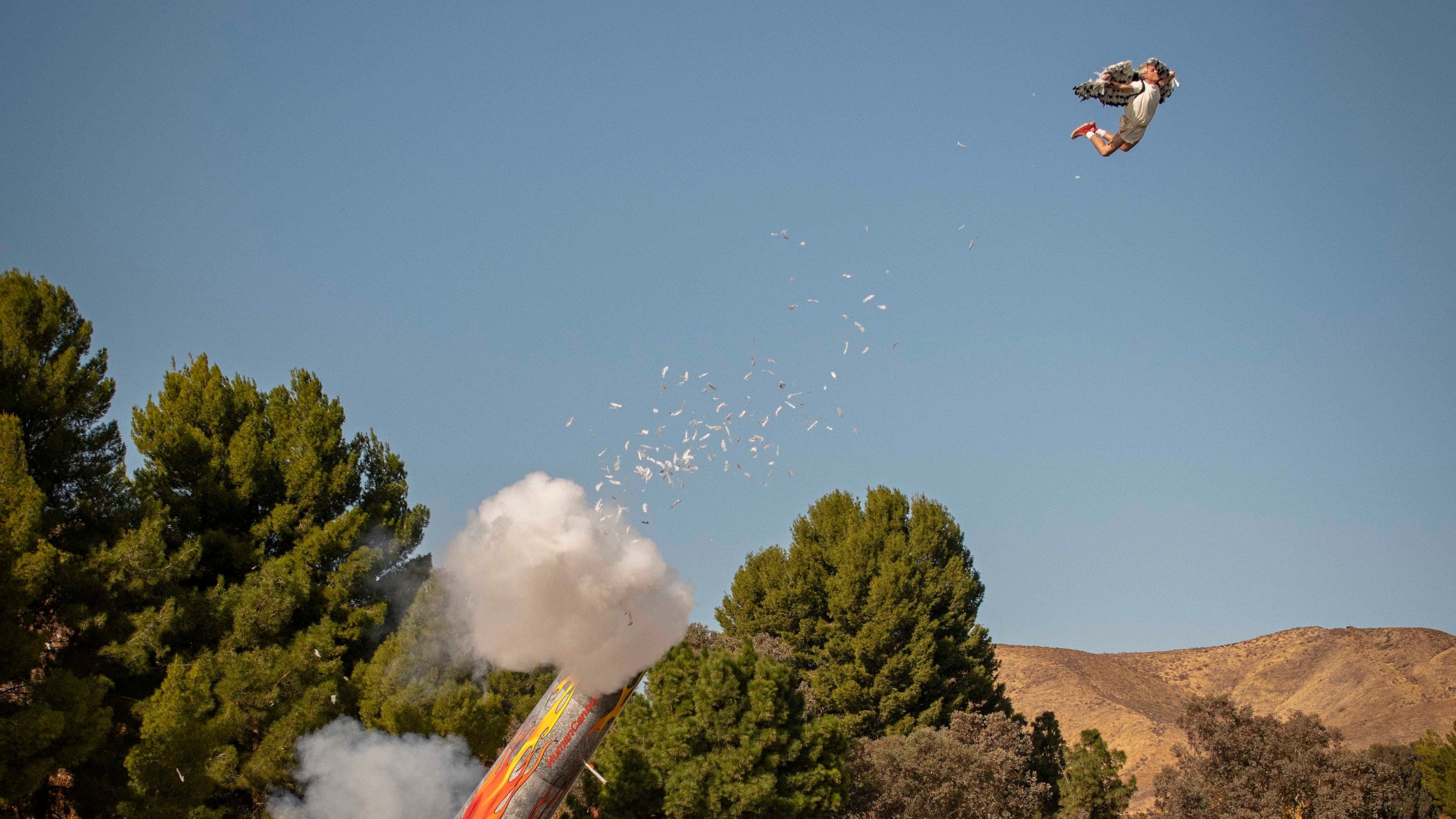 Backdrop of Jackass Forever