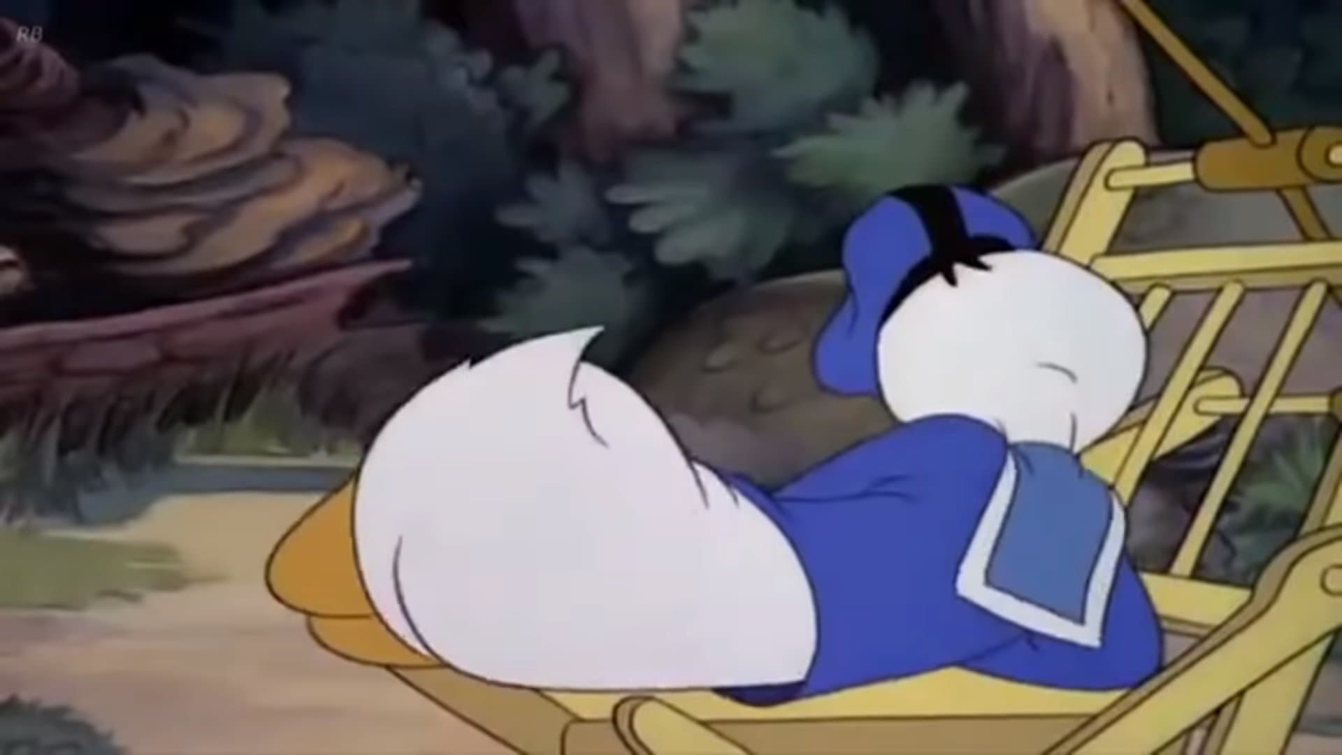 Backdrop of Donald's Vacation