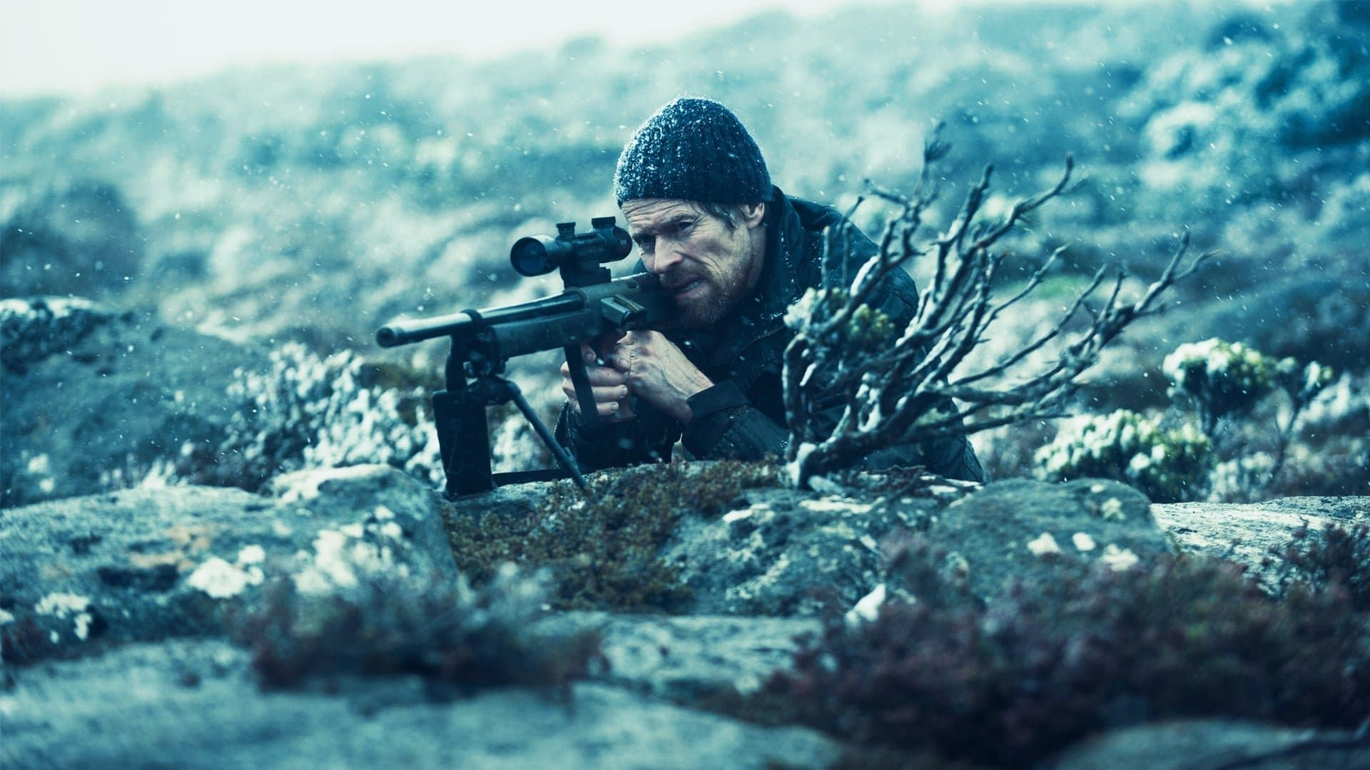 Backdrop of The Hunter