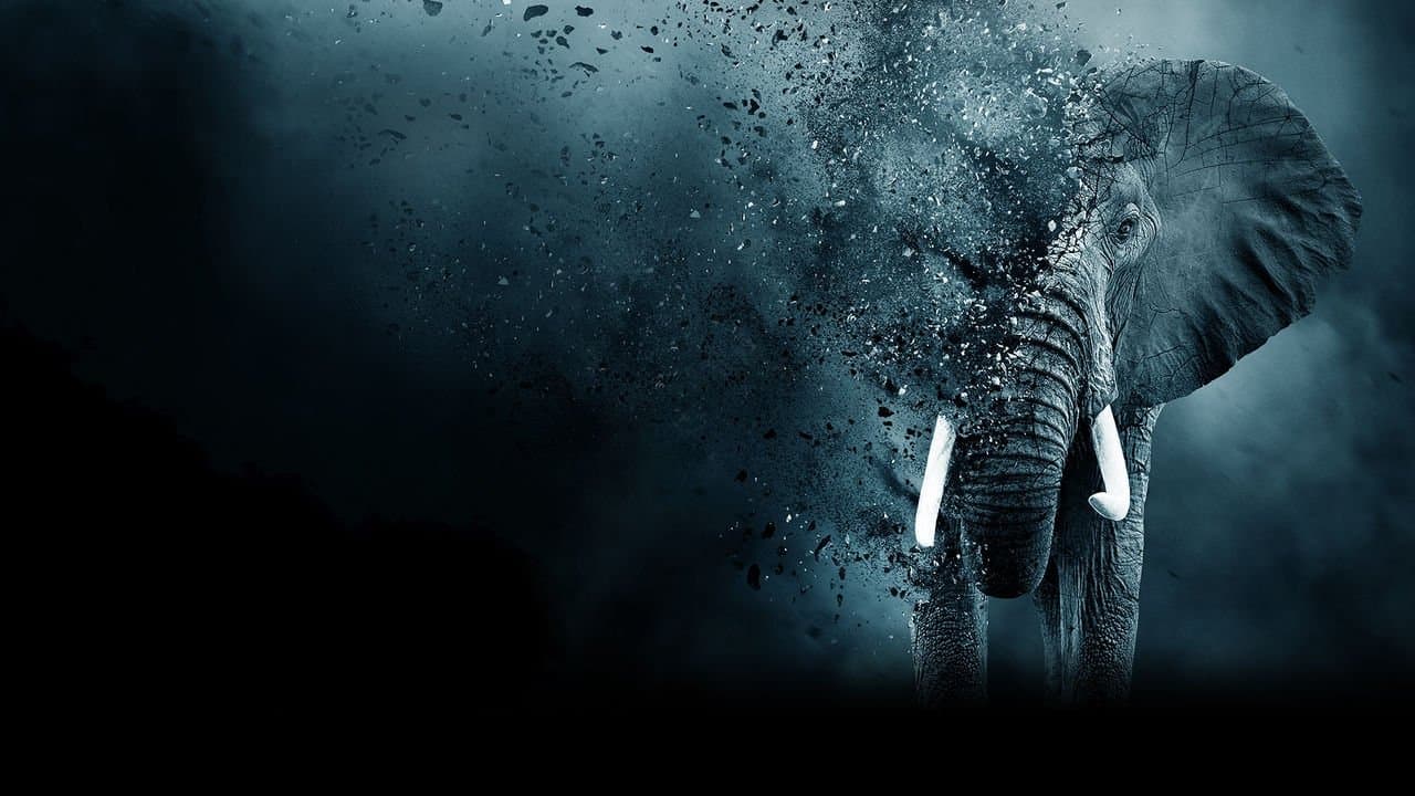 Backdrop of The Ivory Game