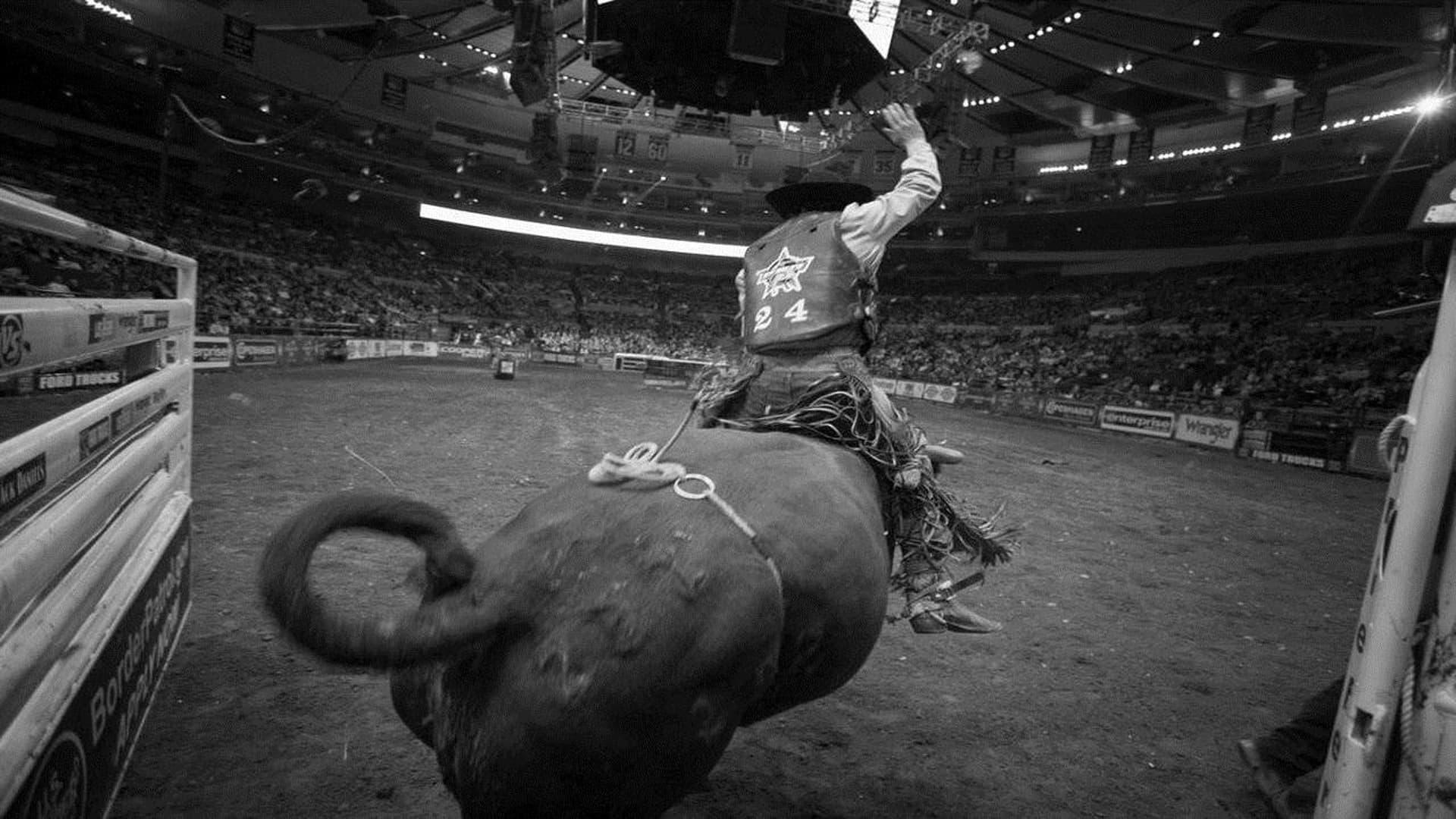 Backdrop of 8 Seconds