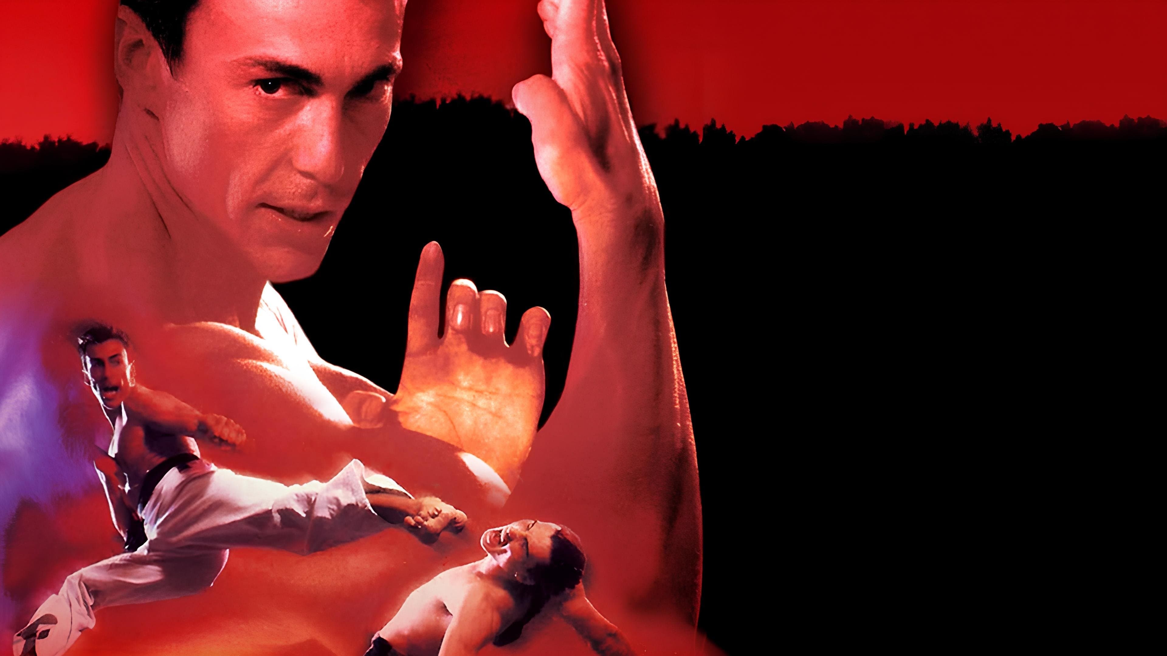 Backdrop of Bloodsport II