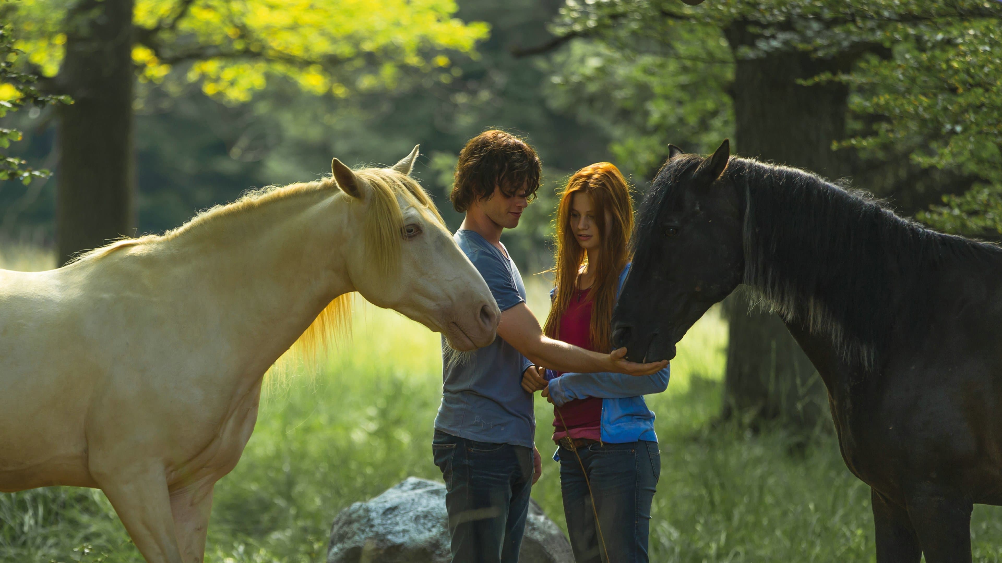 Backdrop of Windstorm 2