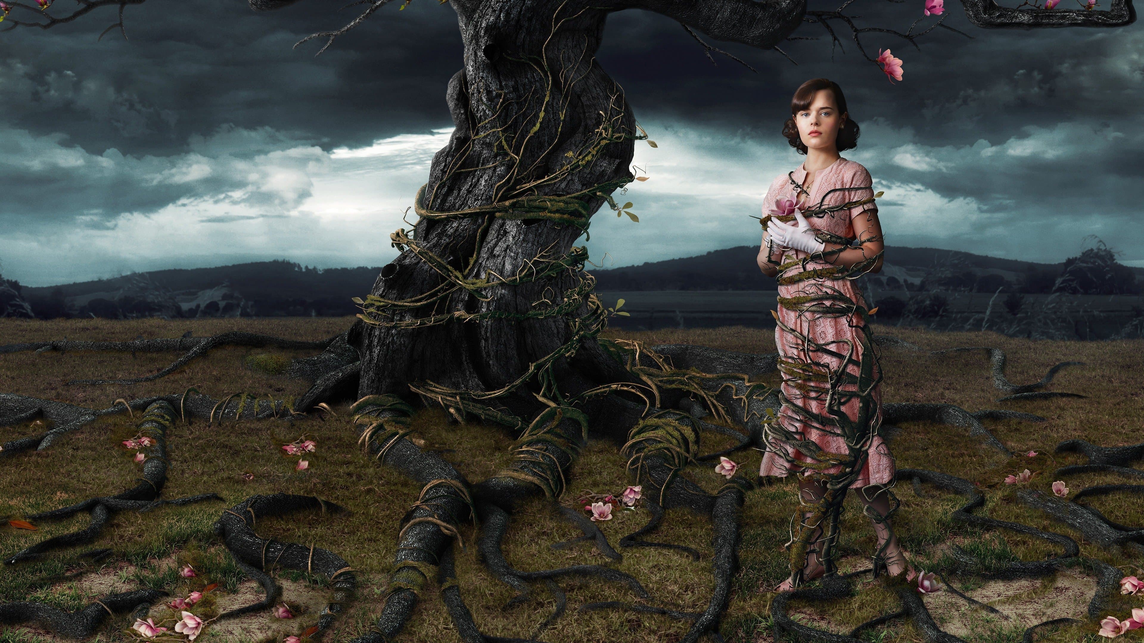 Backdrop of Web of Dreams