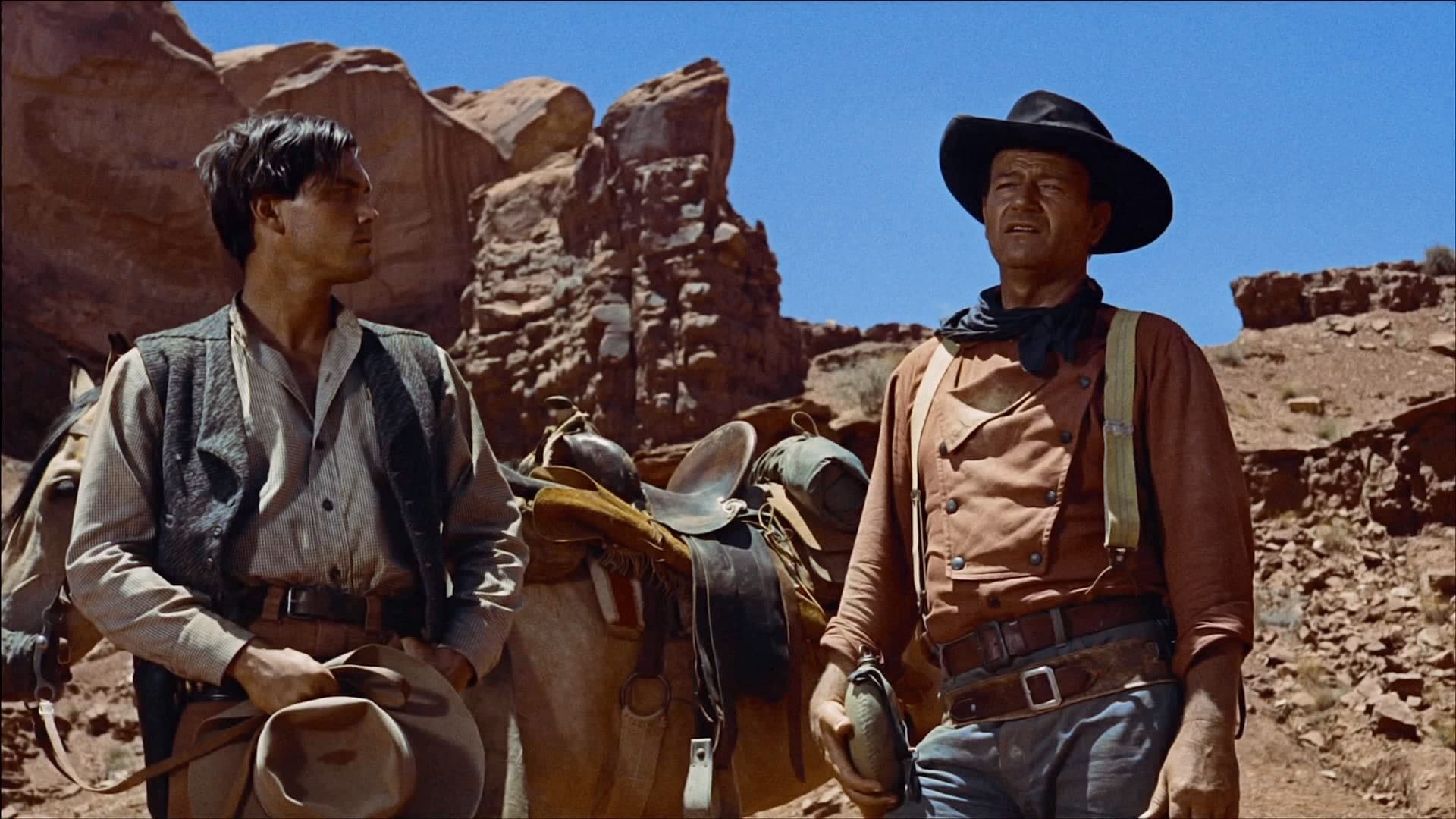 Backdrop of The Searchers