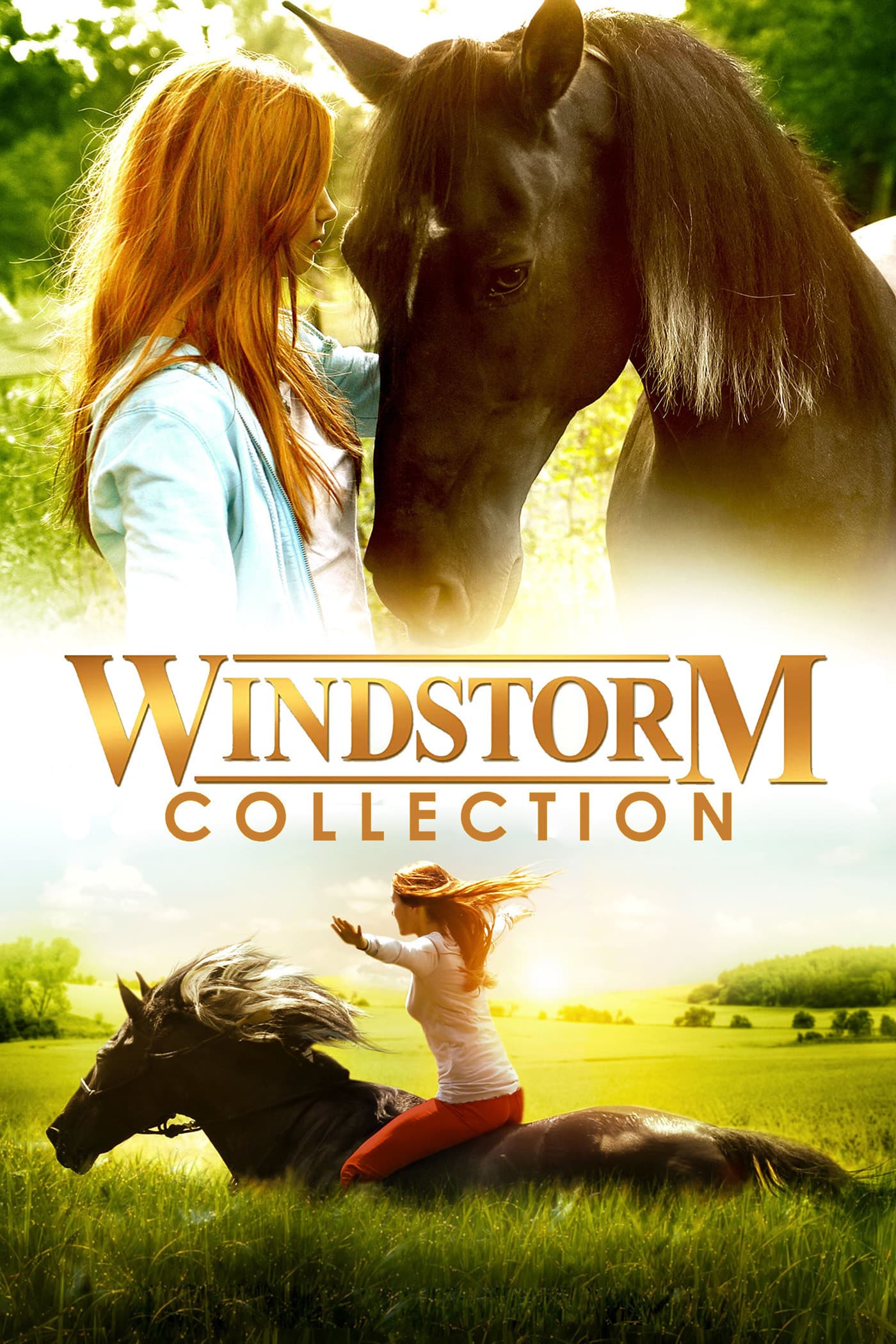 Poster of Windstorm Collection
