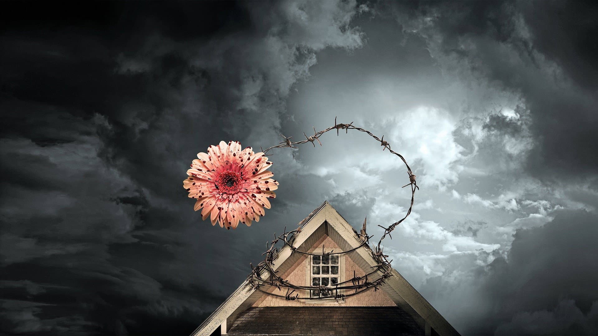 Backdrop of Flowers in the Attic Collection