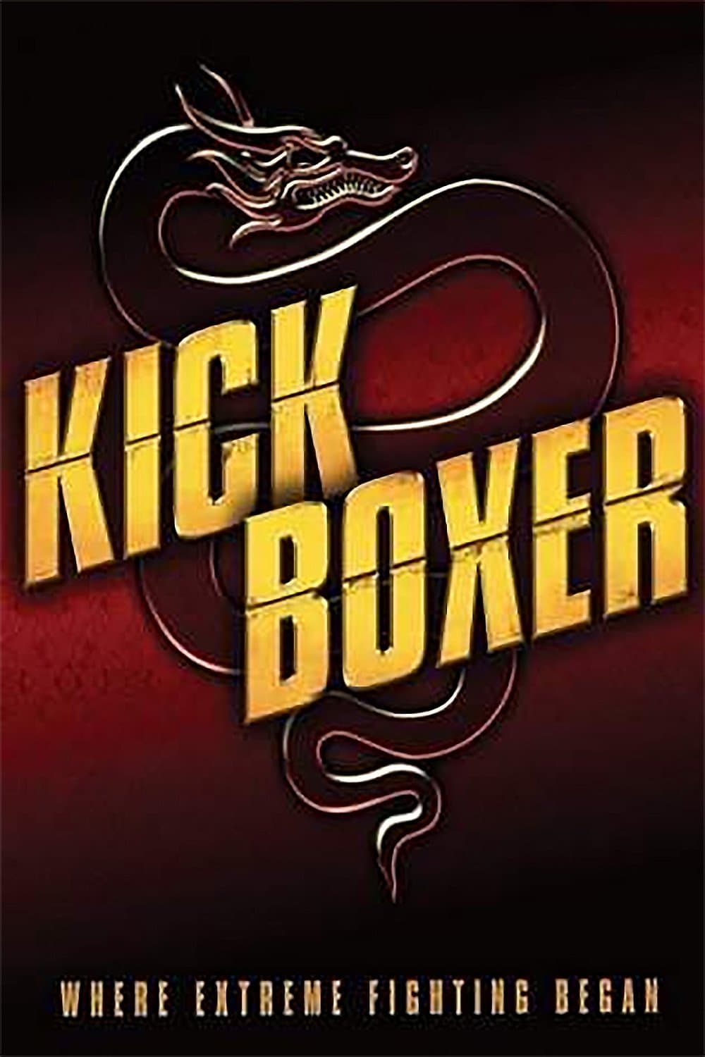 Poster of Kickboxer Collection