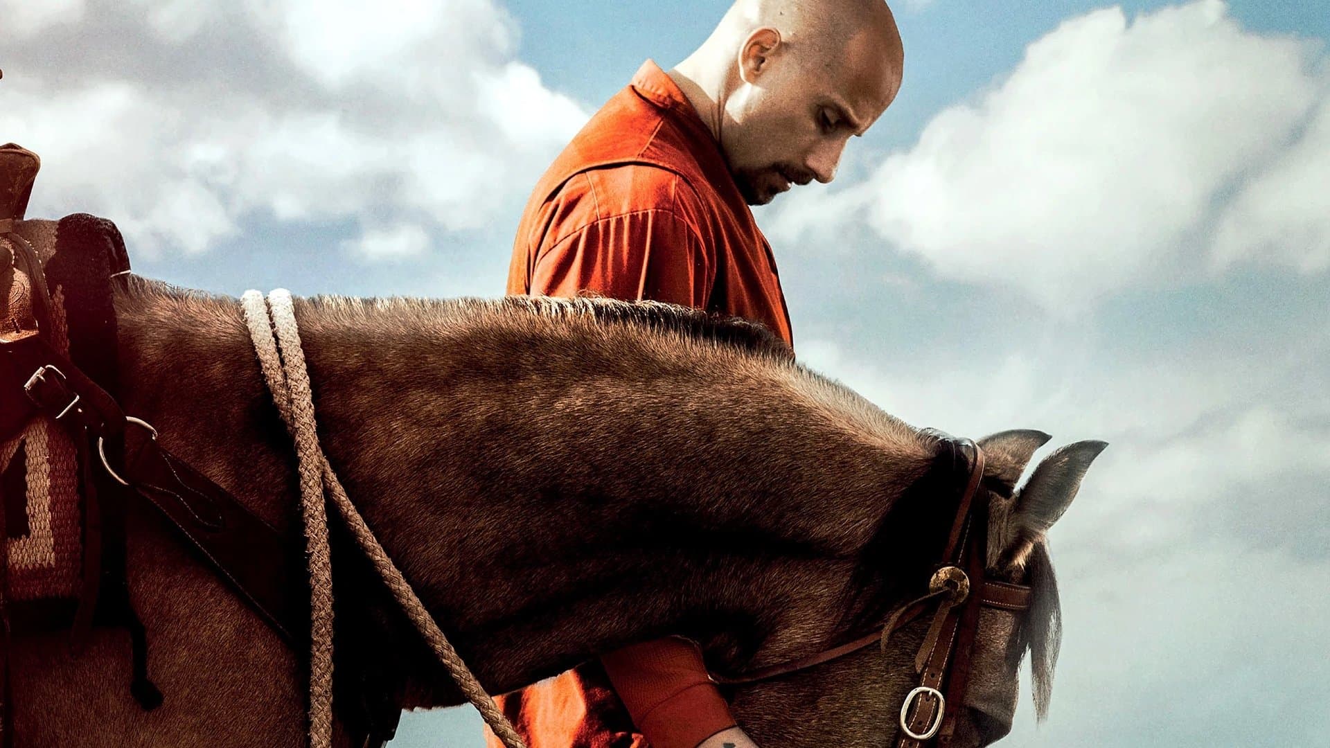 Backdrop of The Mustang