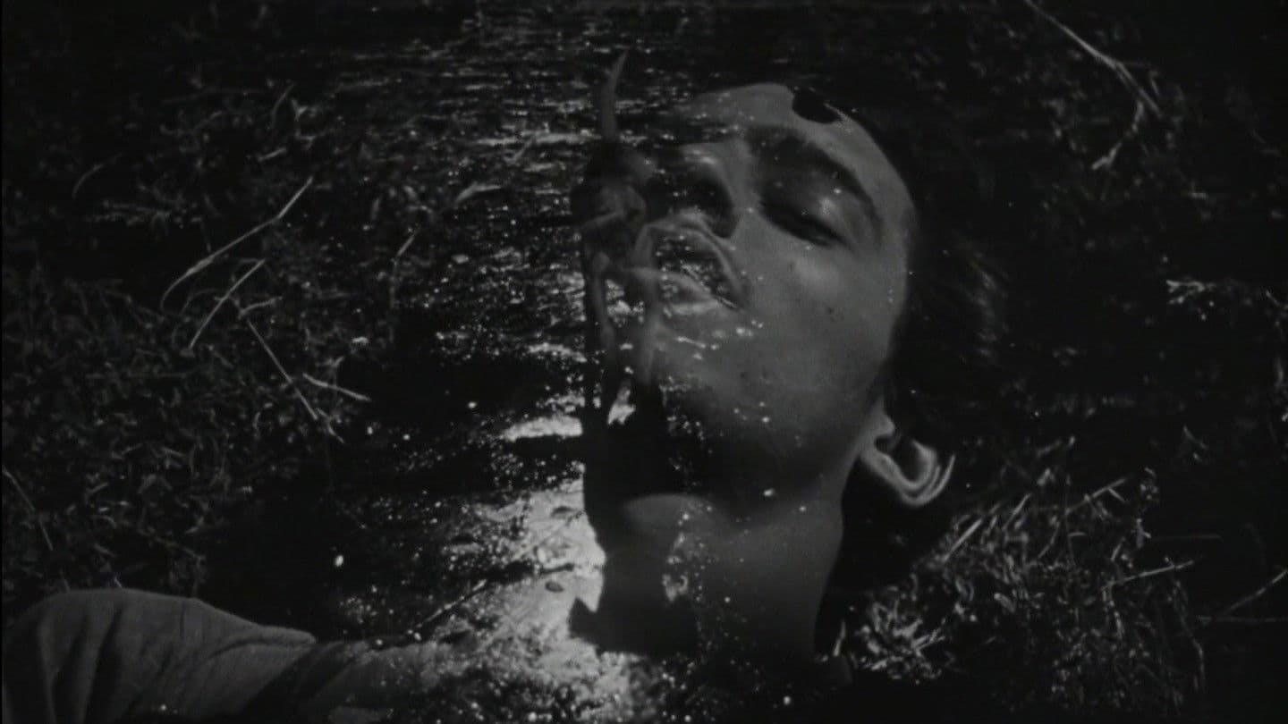 Backdrop of The Young and the Damned