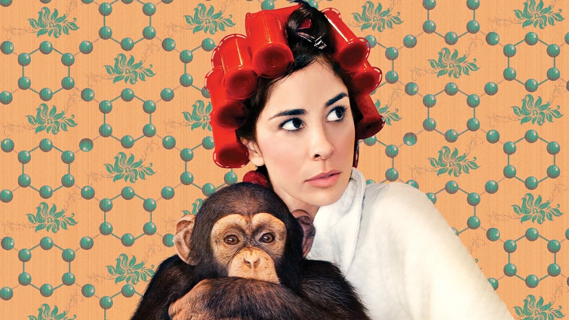 Backdrop of Sarah Silverman: We Are Miracles