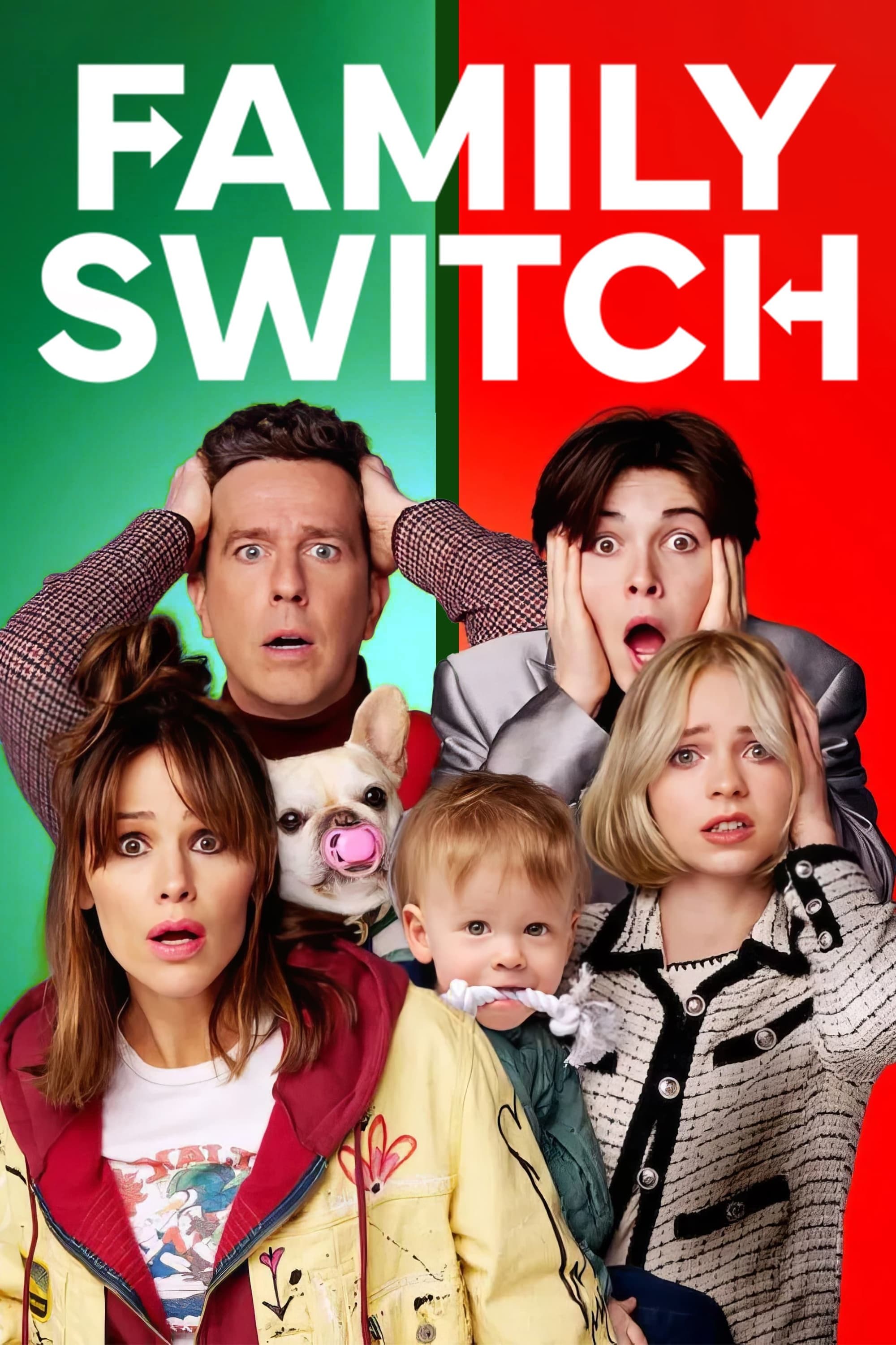 Poster of Family Switch